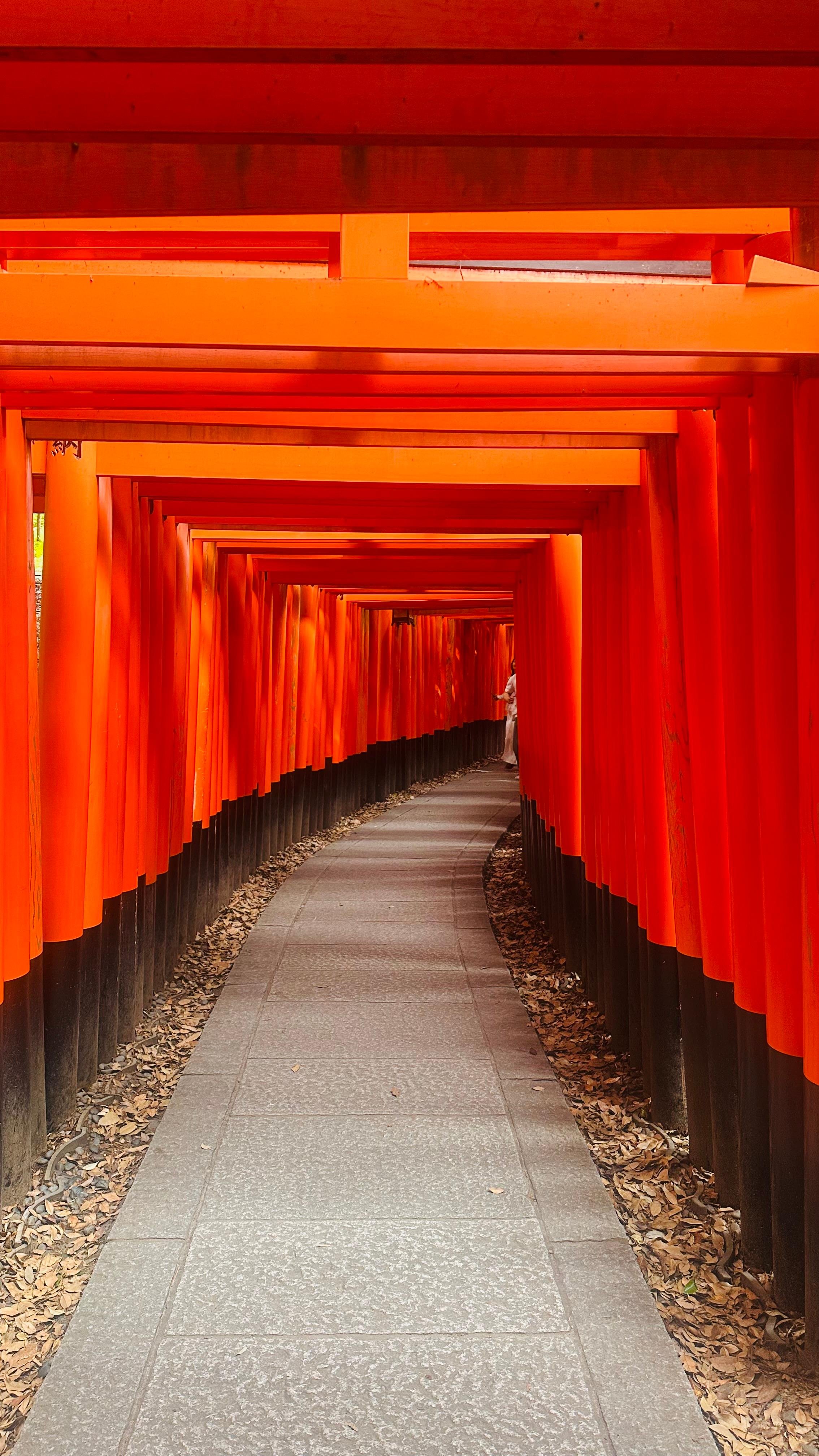Privat høydepunkts-tur i Kyoto med sjåfør og engelskspråklig guide
