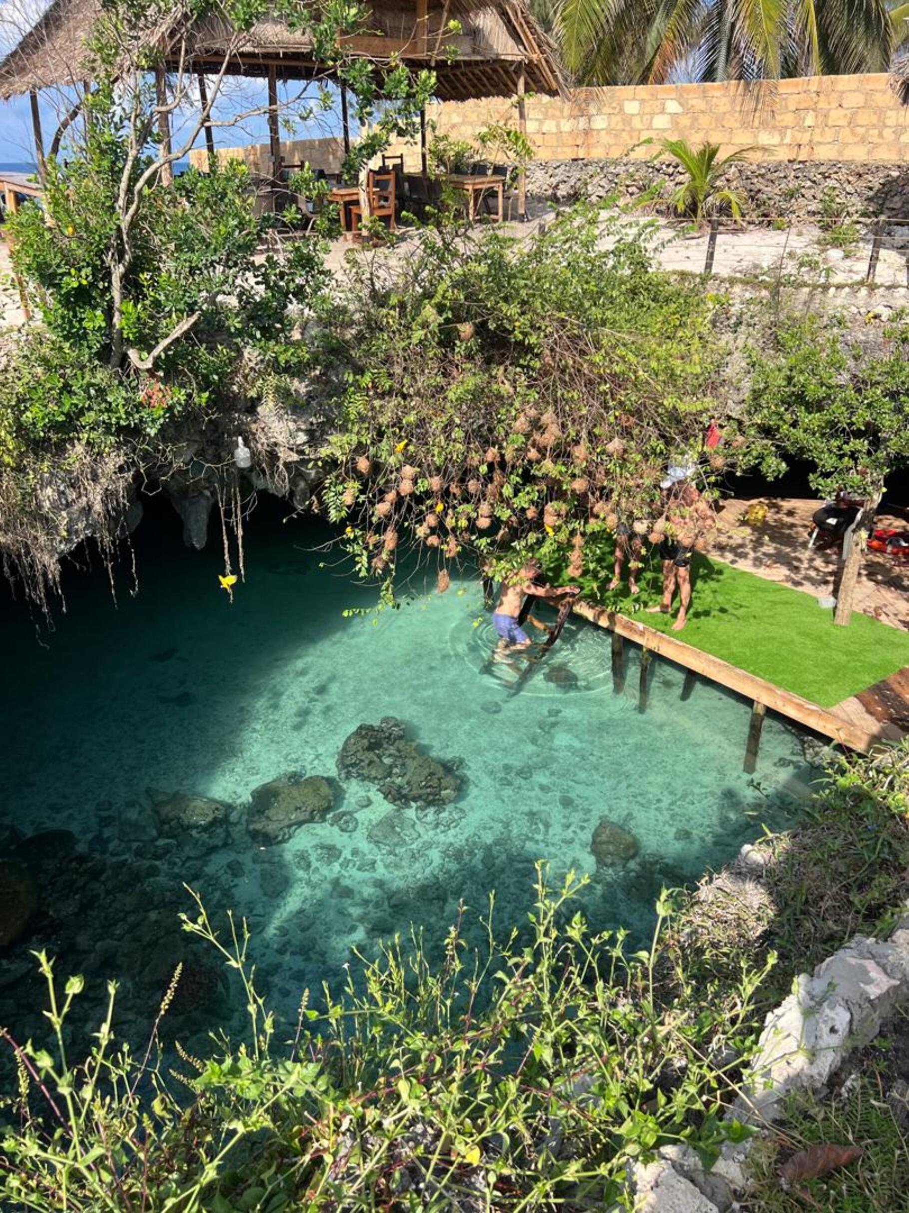 Zanzibar: Jozani Forest & Salaam Cave Sea Turtle Tour