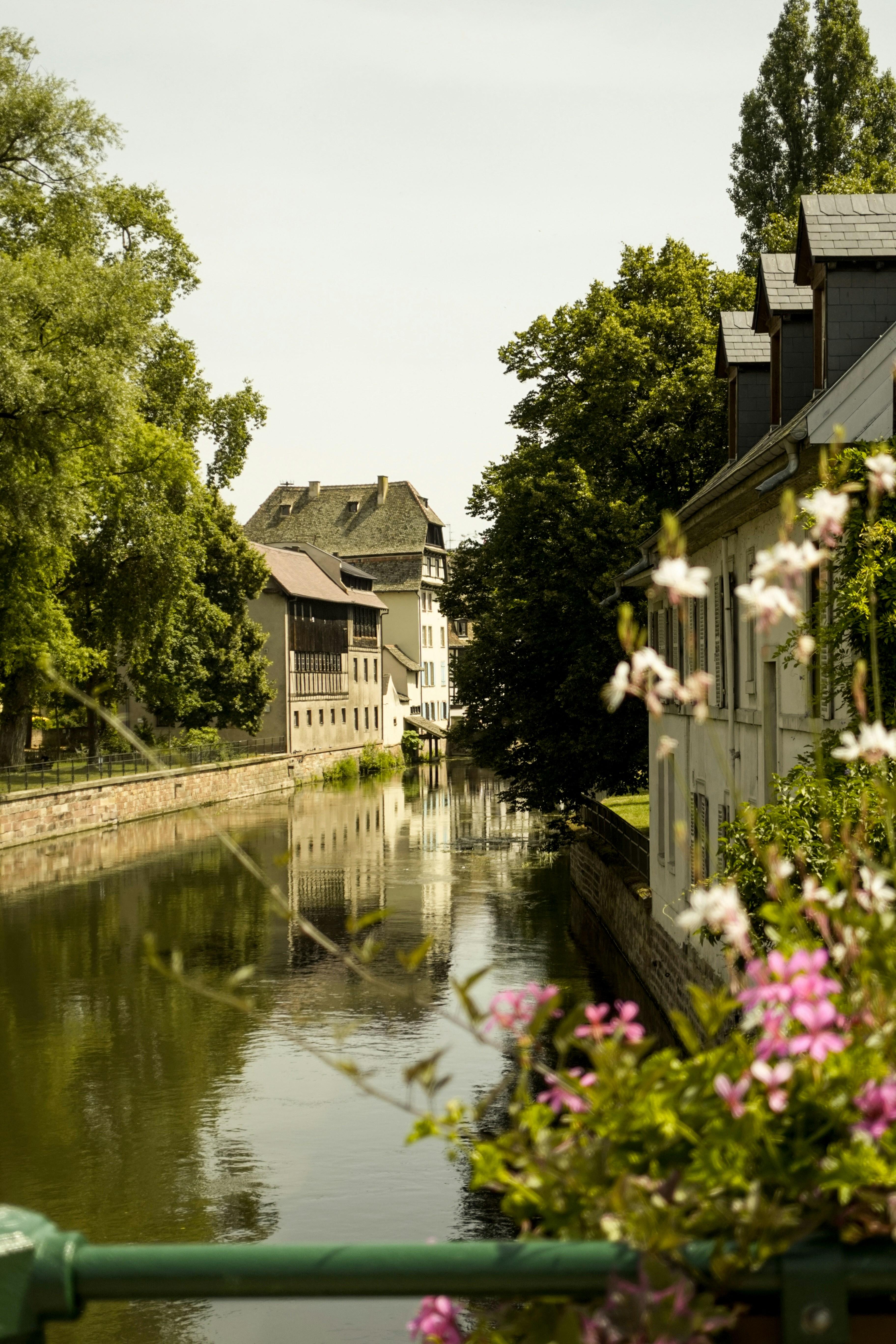 Private Strasbourg Food & Wine Tour
