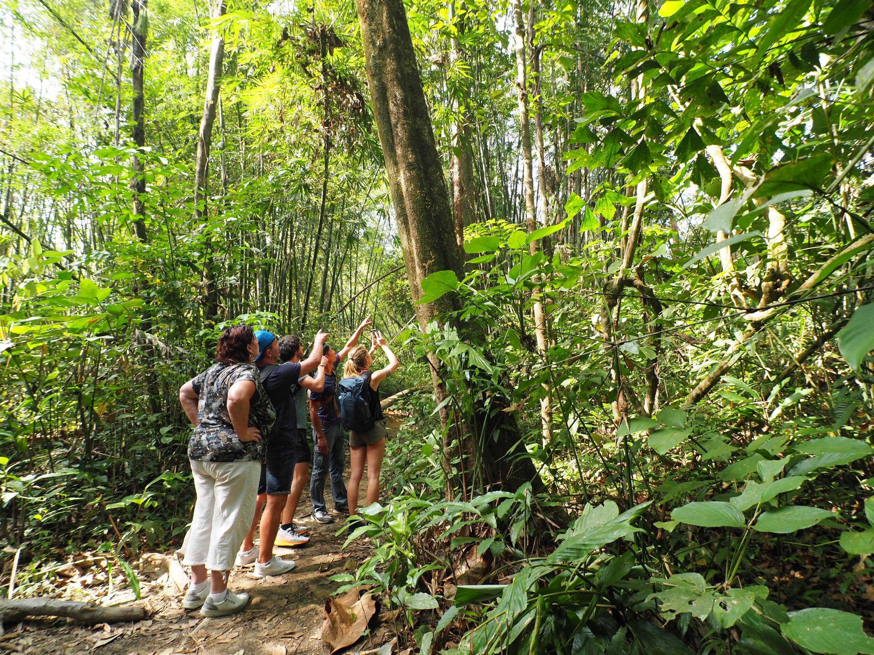 Khao Sok Rainforest Trek from Khao Lak