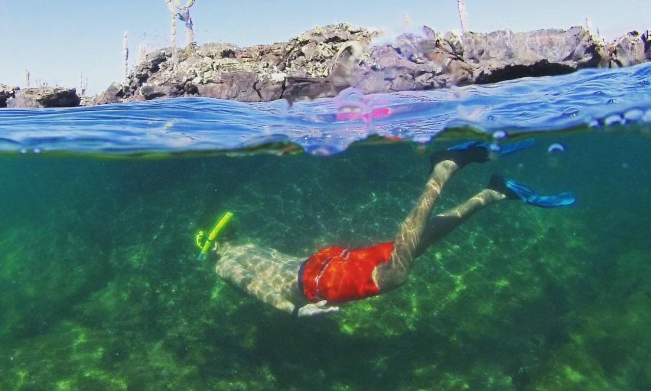Lava Tunnels Snorkeling Adventure from Isabela