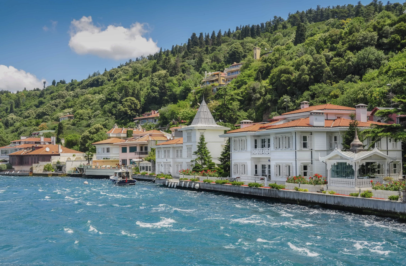 Büyükada Island Discovery with Electric Cart Tour