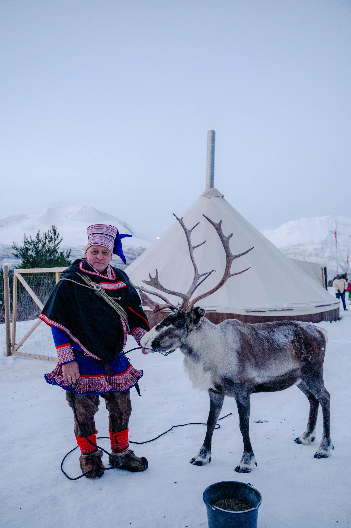 Sami Reindeer Sledding & Cultural Experience from Tromsø