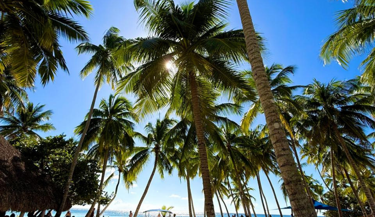 Saona Island Catamaran & Natural Pool Day Trip