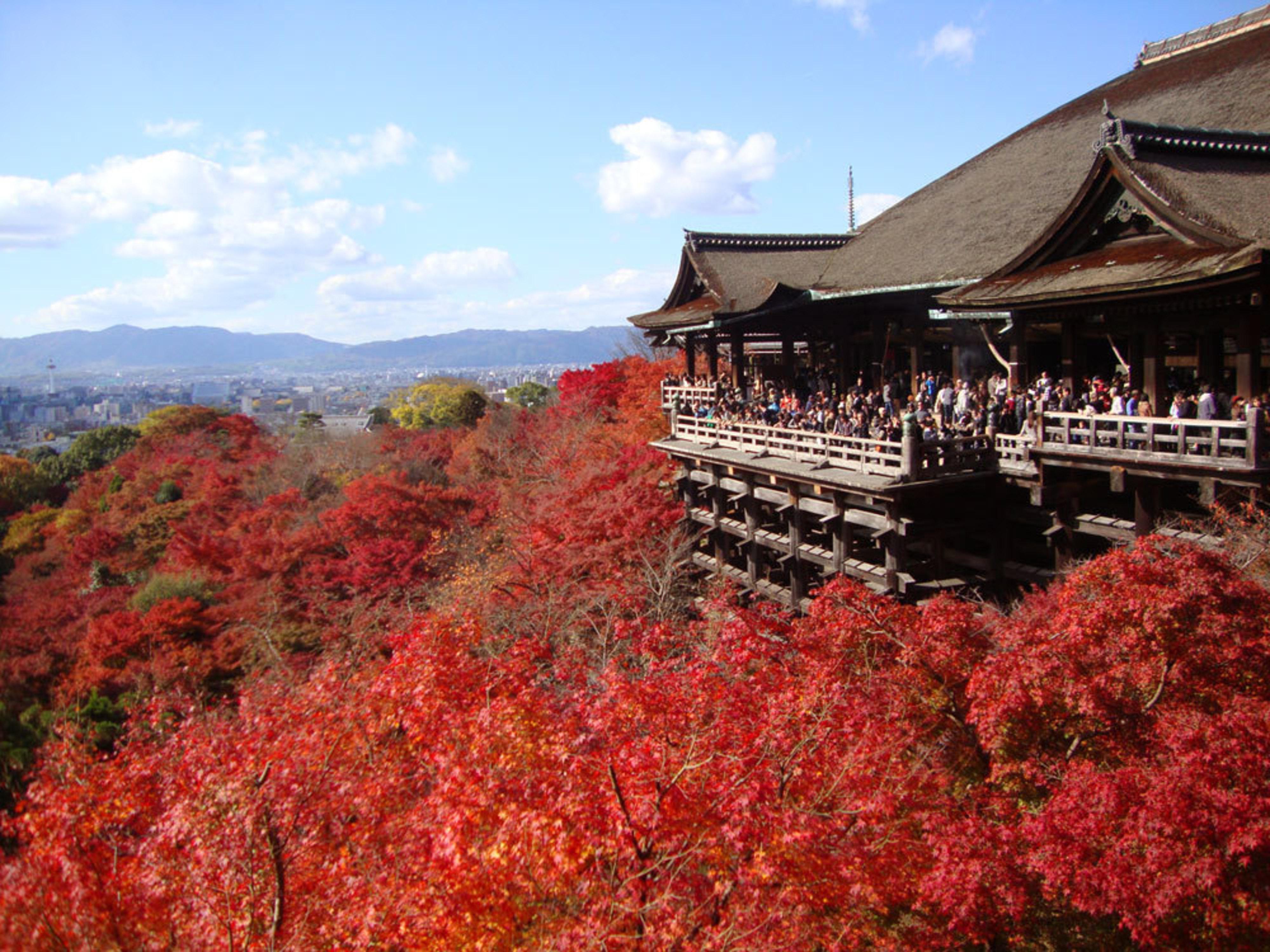 京都1日満喫ツアー：伏見稲荷・金閣寺・嵐山