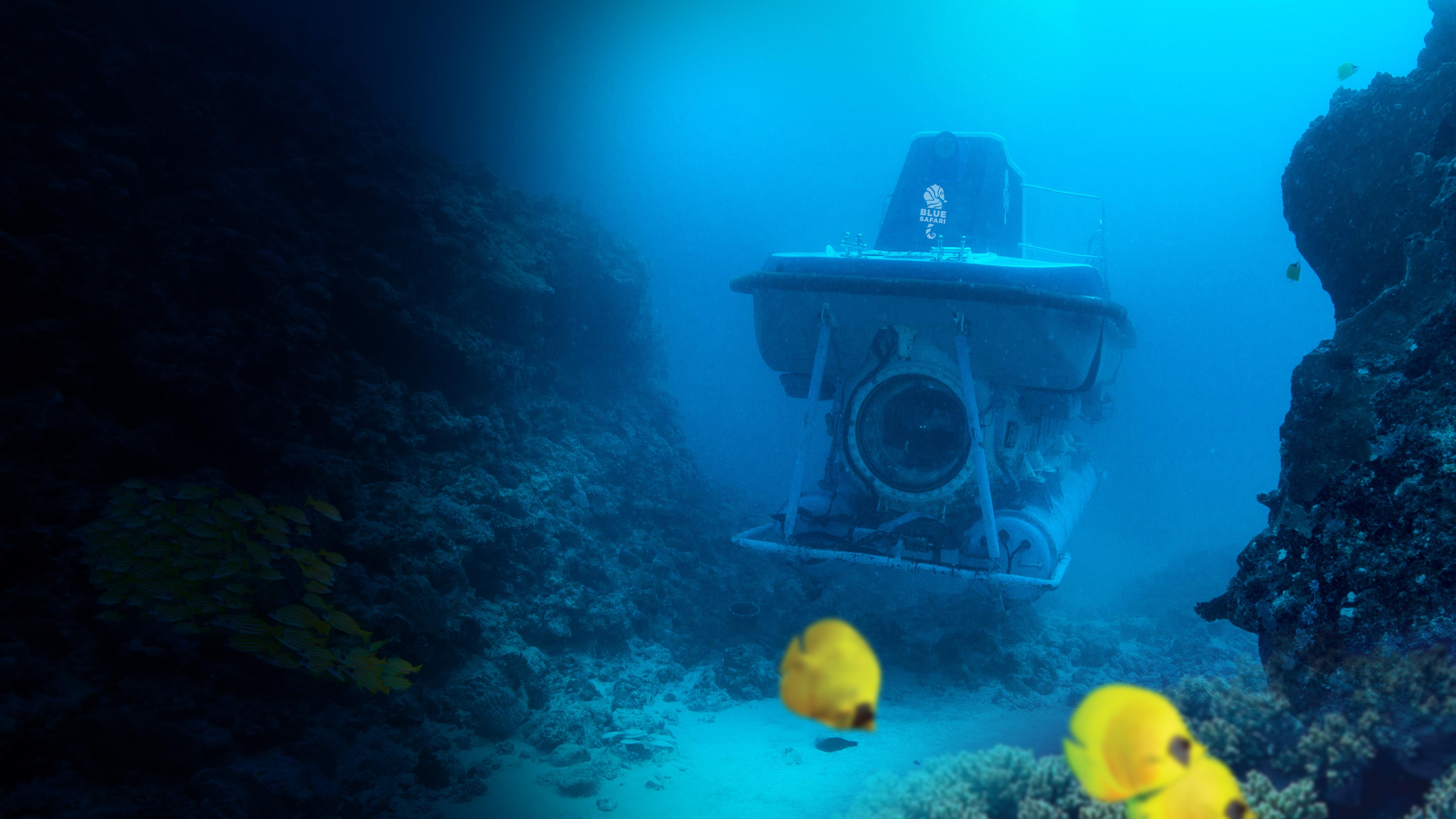 Trou-aux-Biches Submarine Deep-Sea Wreck Expedition