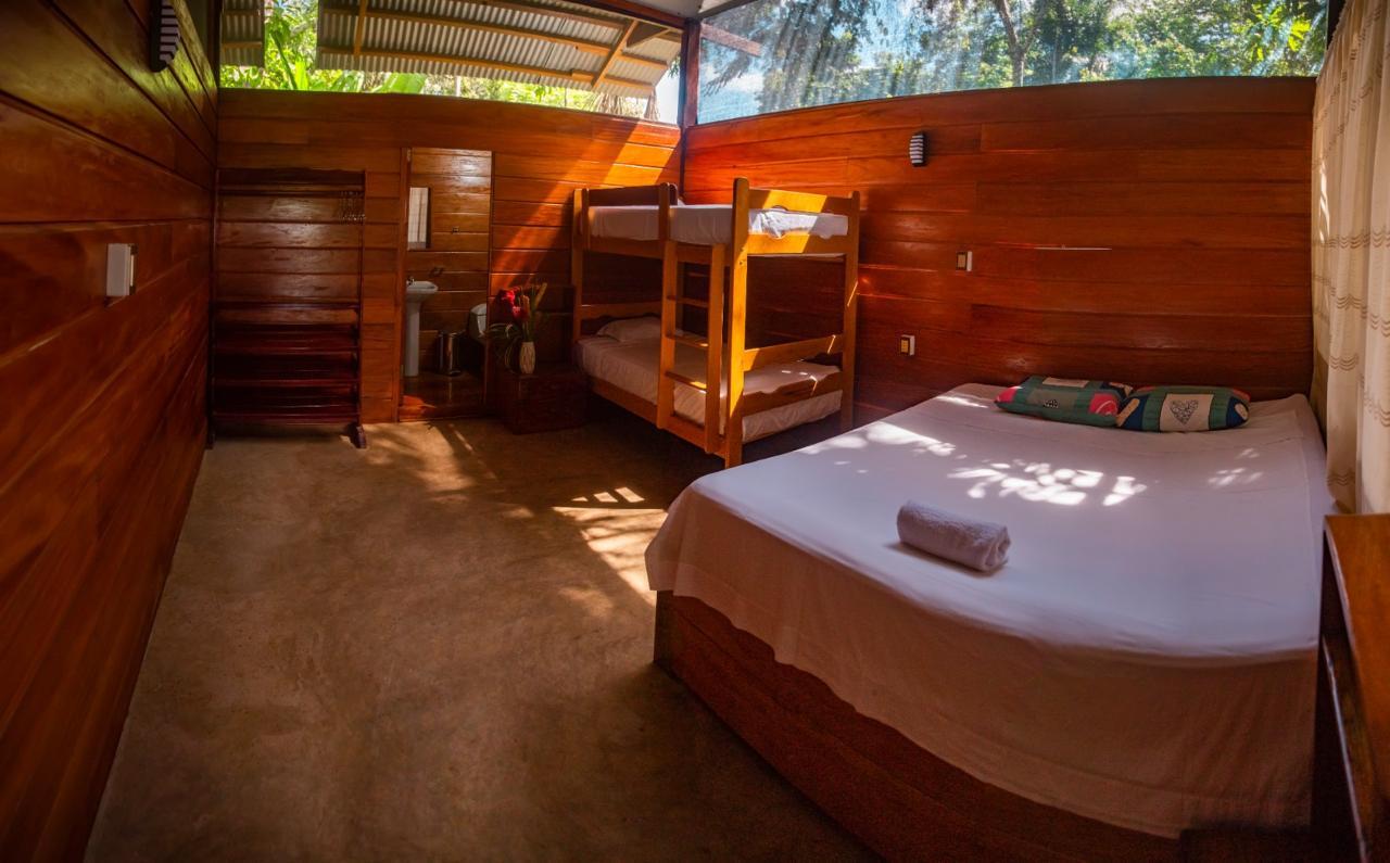 Tambopata 2-Day Amazon Wildlife Tour & Jungle Lodge Stay