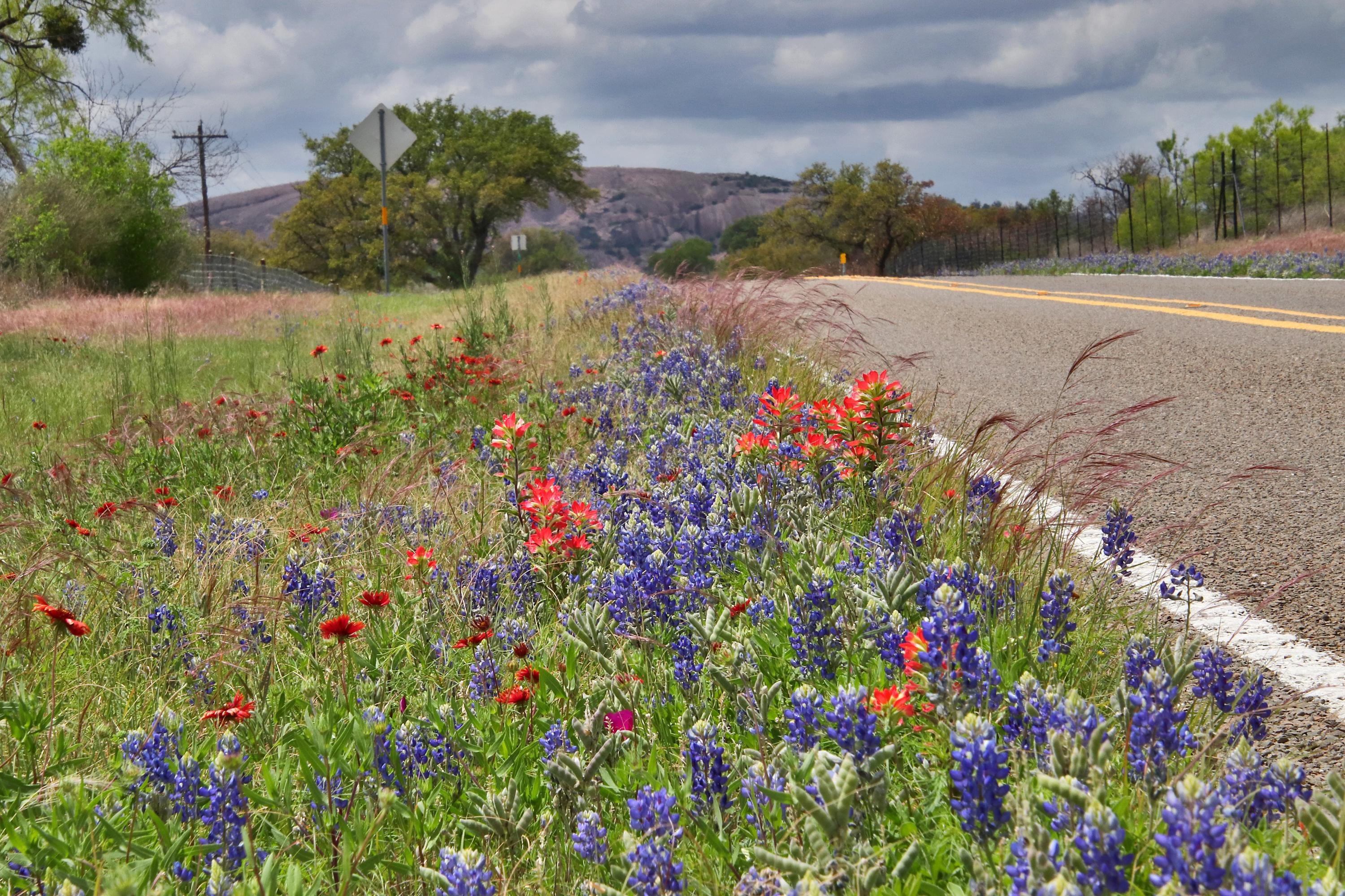 Private Hill Country Discovery Tour from New Braunfels