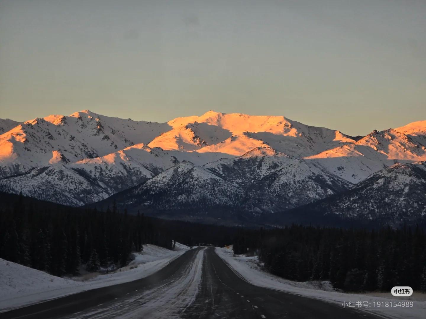 glacier cruise in Whittier — Whittier Cruise Shuttle Tour with Multiple Stops - 2026 (Verified Reviews)