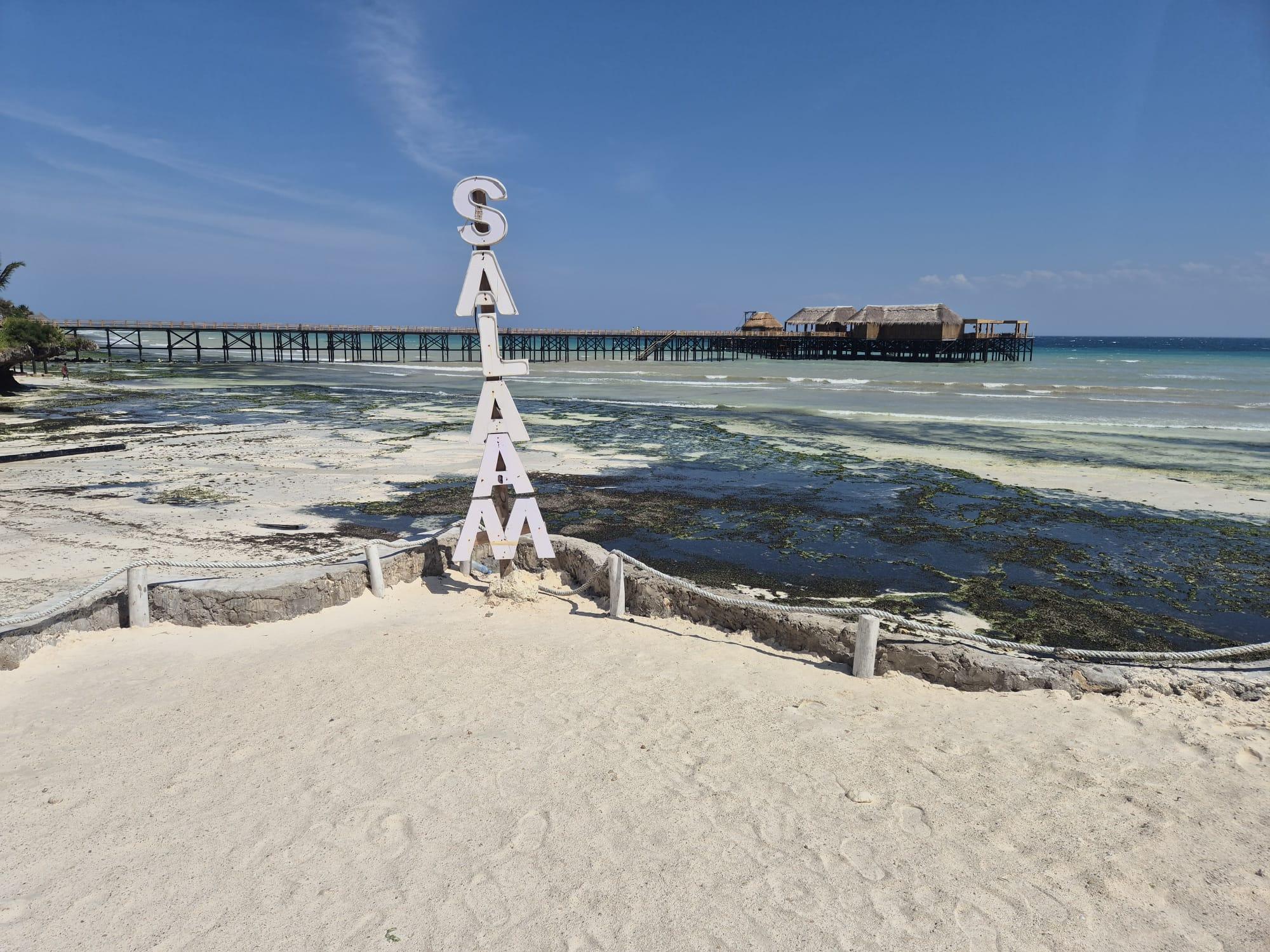 Zanzibar: Jozani Forest & Salaam Cave Sea Turtle Tour