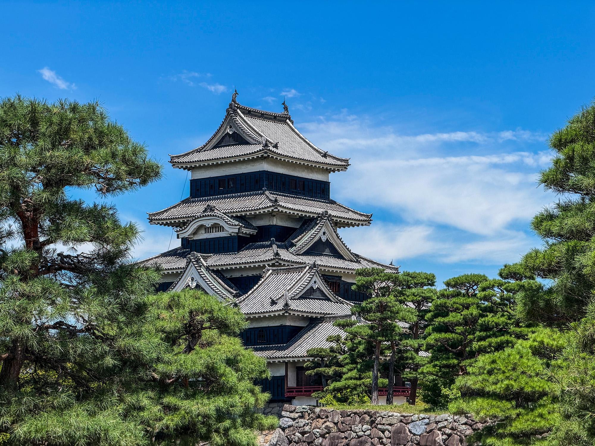 Matsumoto Castle & Daio Wasabi Farm Guided Day Trip from Tokyo