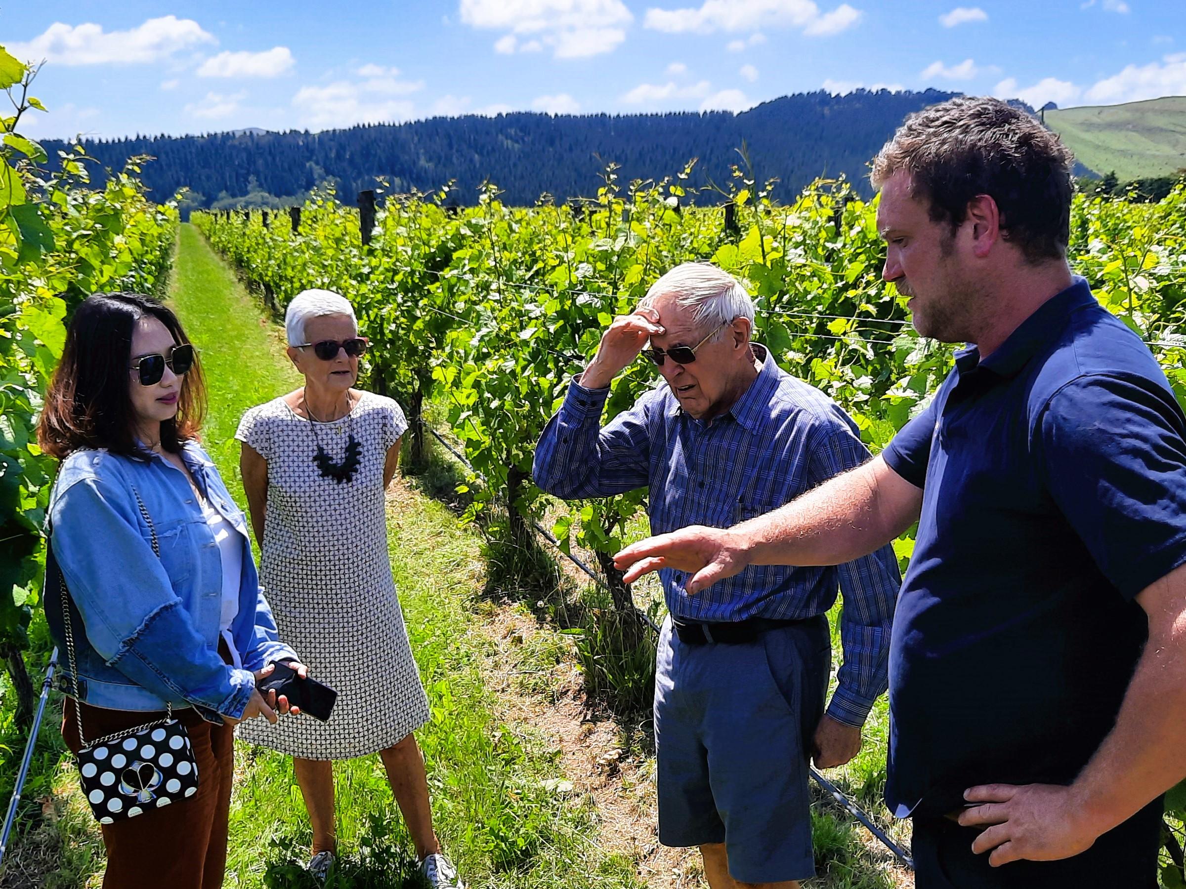 Martinborough Wine & Food Discovery Tour from Wellington