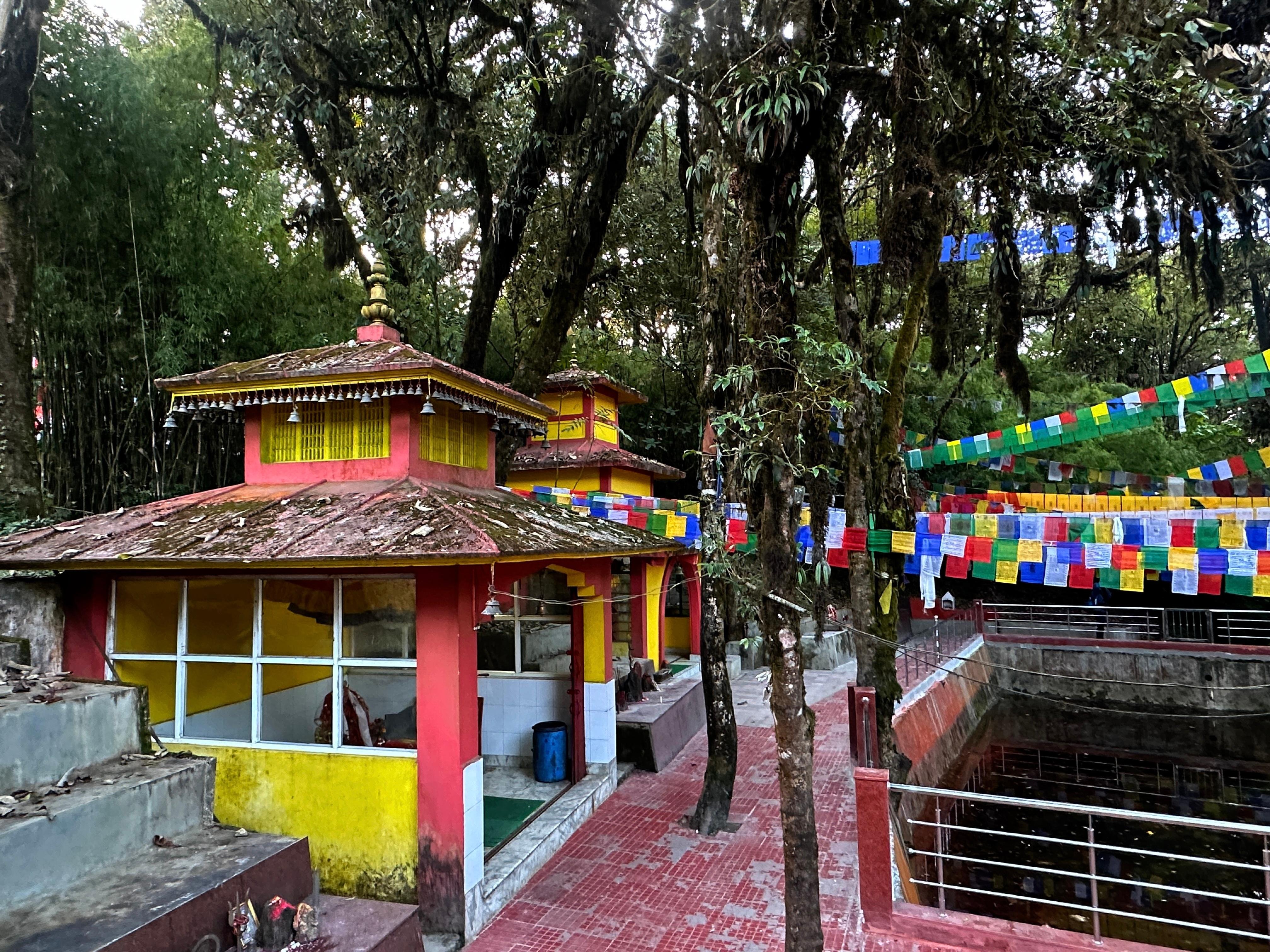 Darjeeling: Tiger Hill Sunrise & Guided Trekking Day Tour
