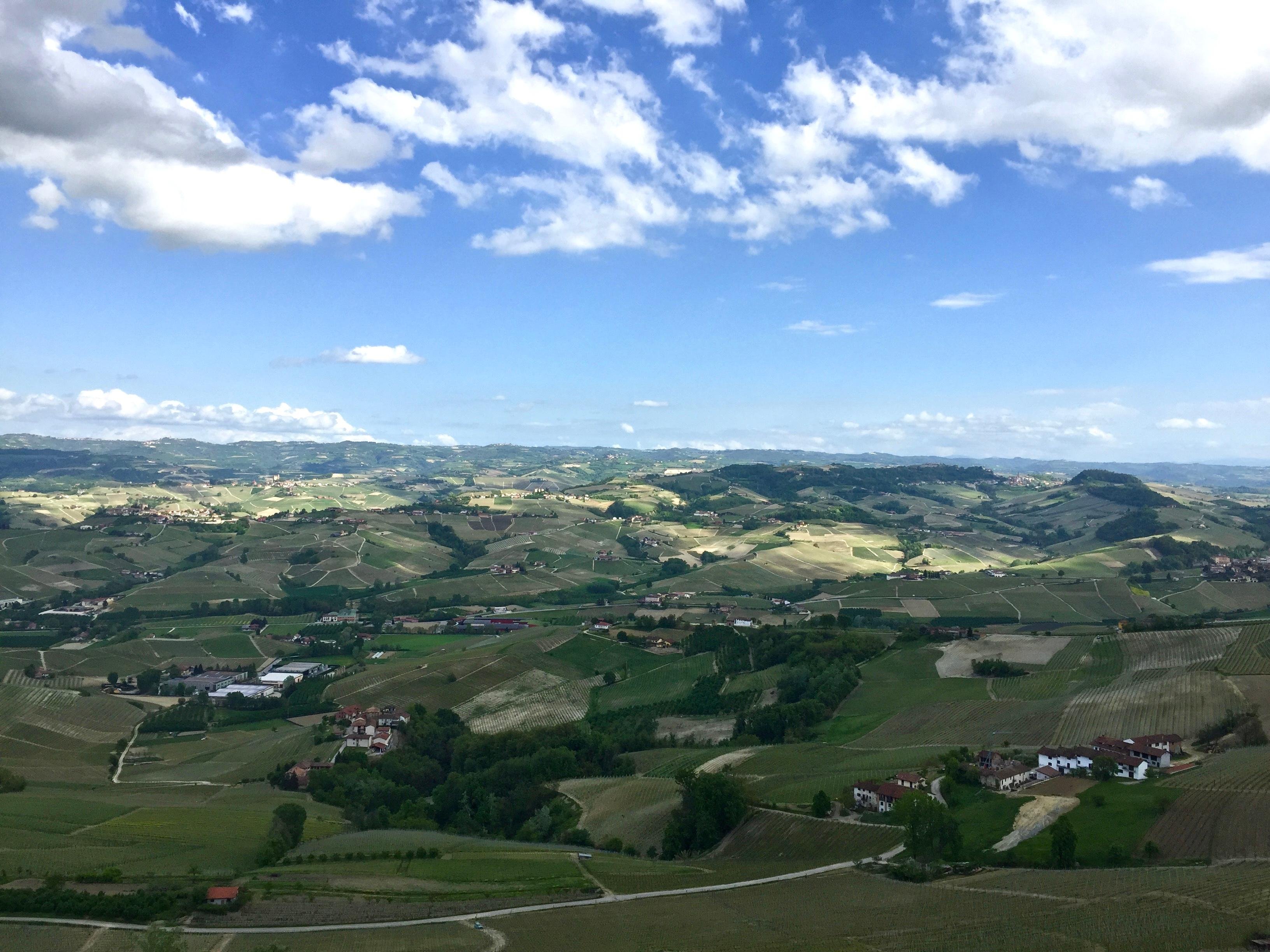 Langhe Wine Country: Sommelier-Led Barolo & Barbaresco Experience