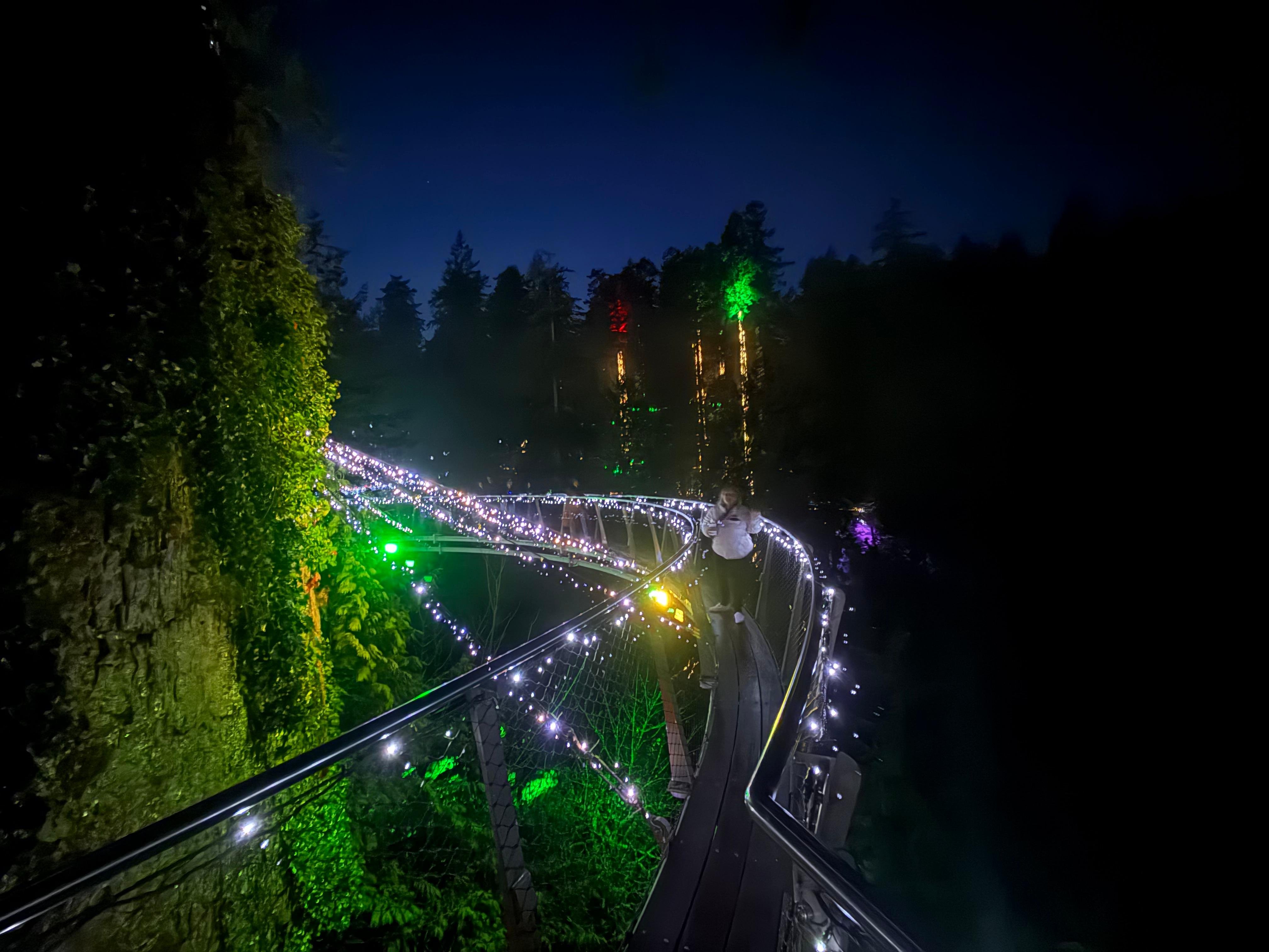 Capilano Suspension Bridge & Stanley Park Small Group Tour