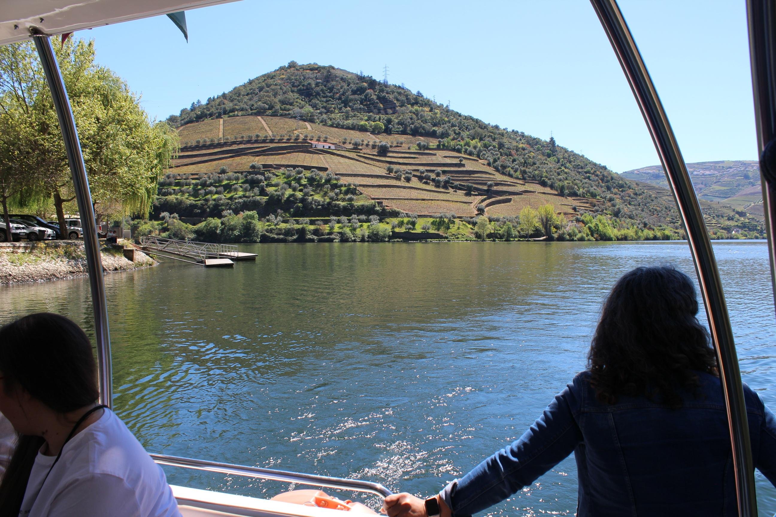 Douro Valley Wine & Cruise Day Trip from Porto