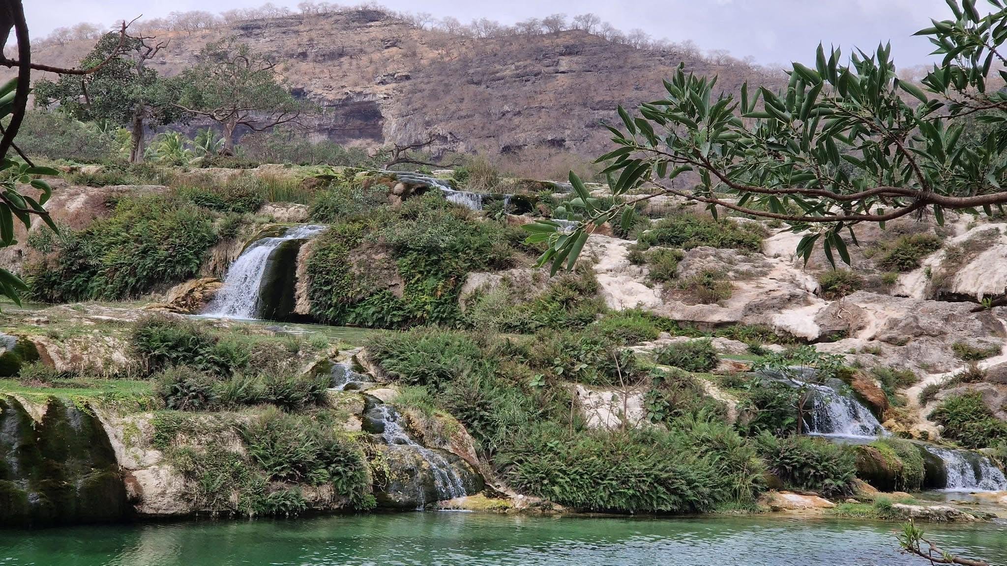 Full-Day Salalah Adventure: Mountains, Wildlife & Evening Markets