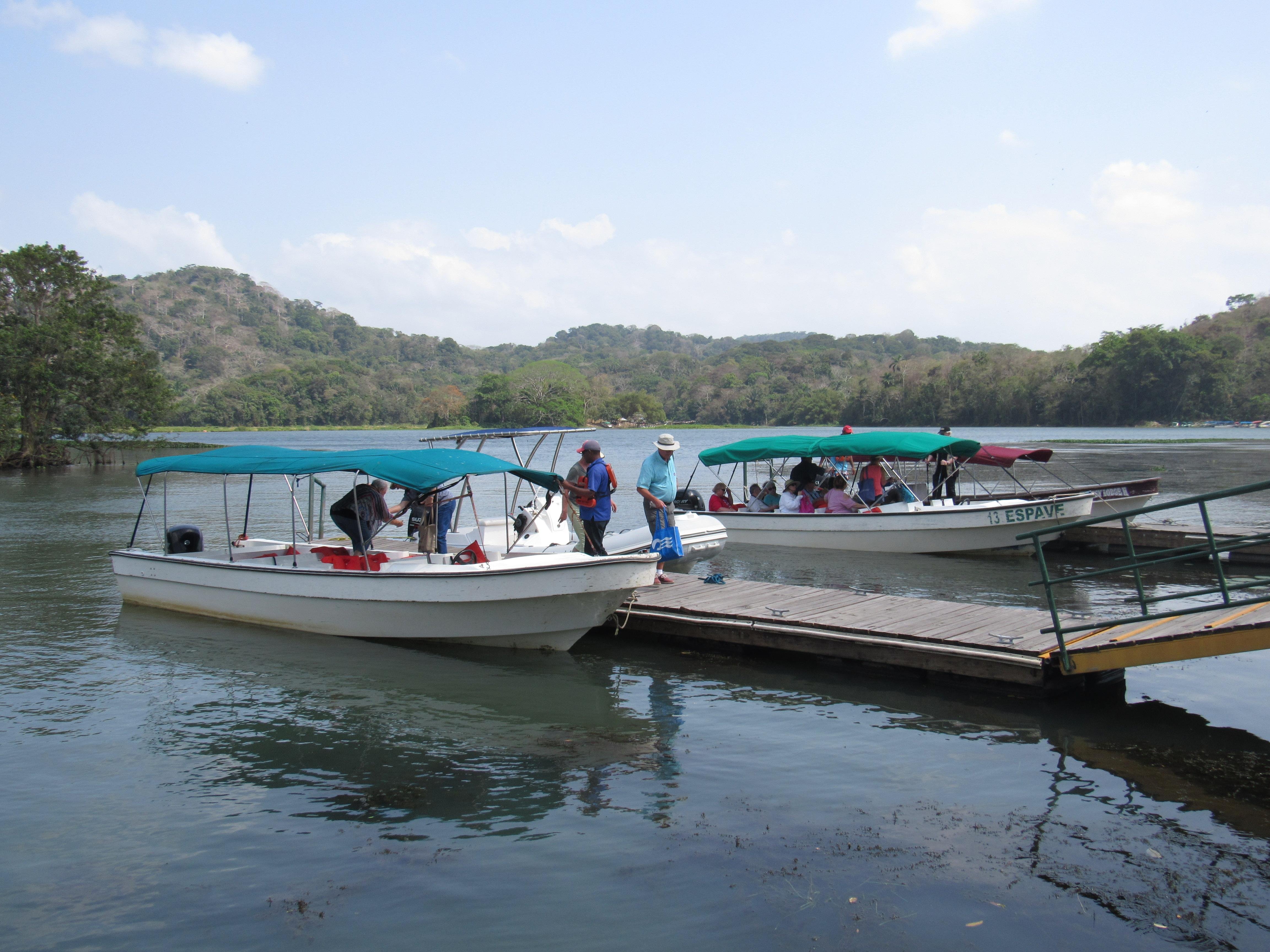 Panama Wildlife Discovery: Monkey Island, Sloths & Canal Boat Tour