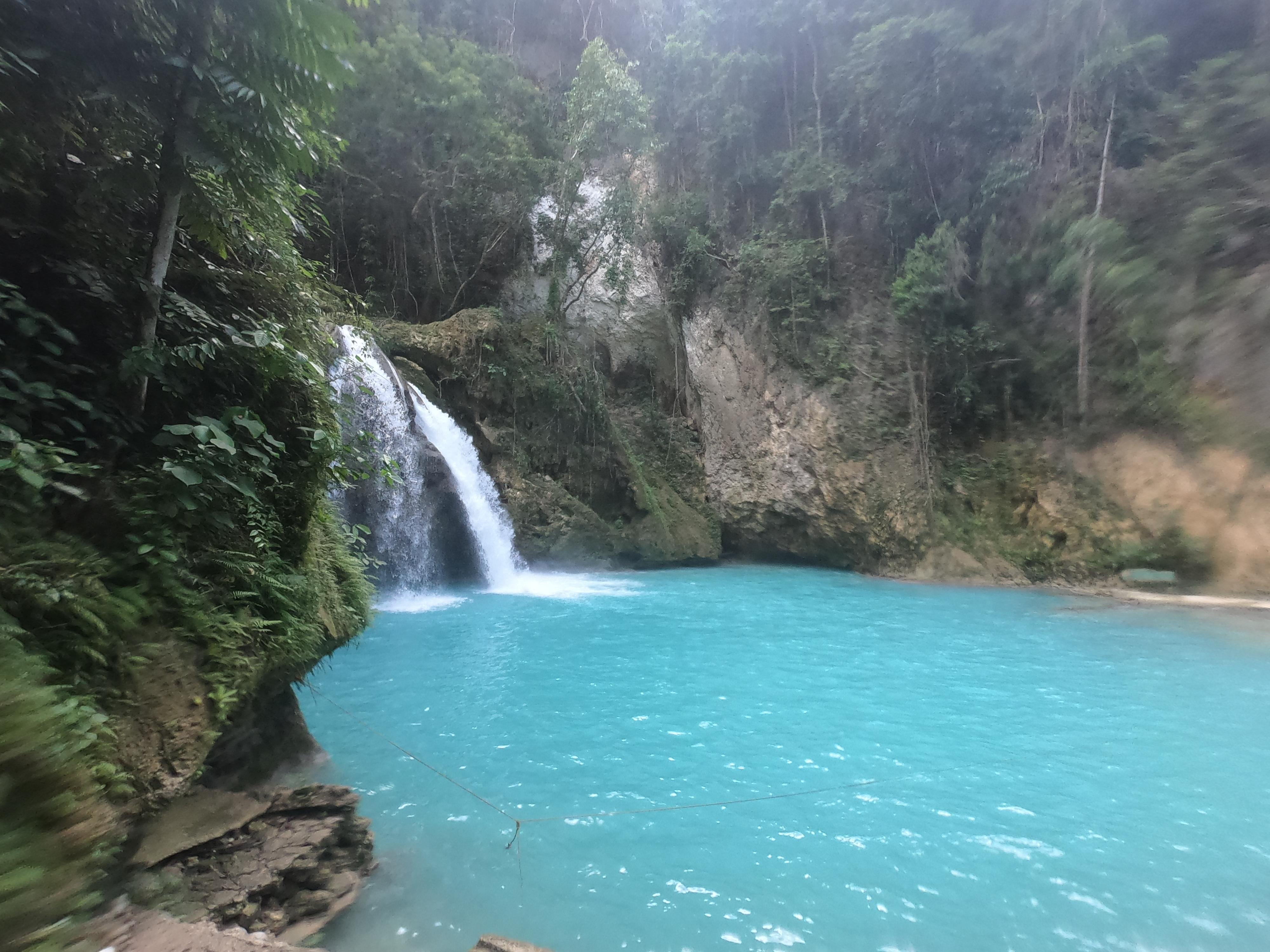Cebu Full-Day Adventure: Whale Sharks, Kawasan Falls & Moalboal Sardines