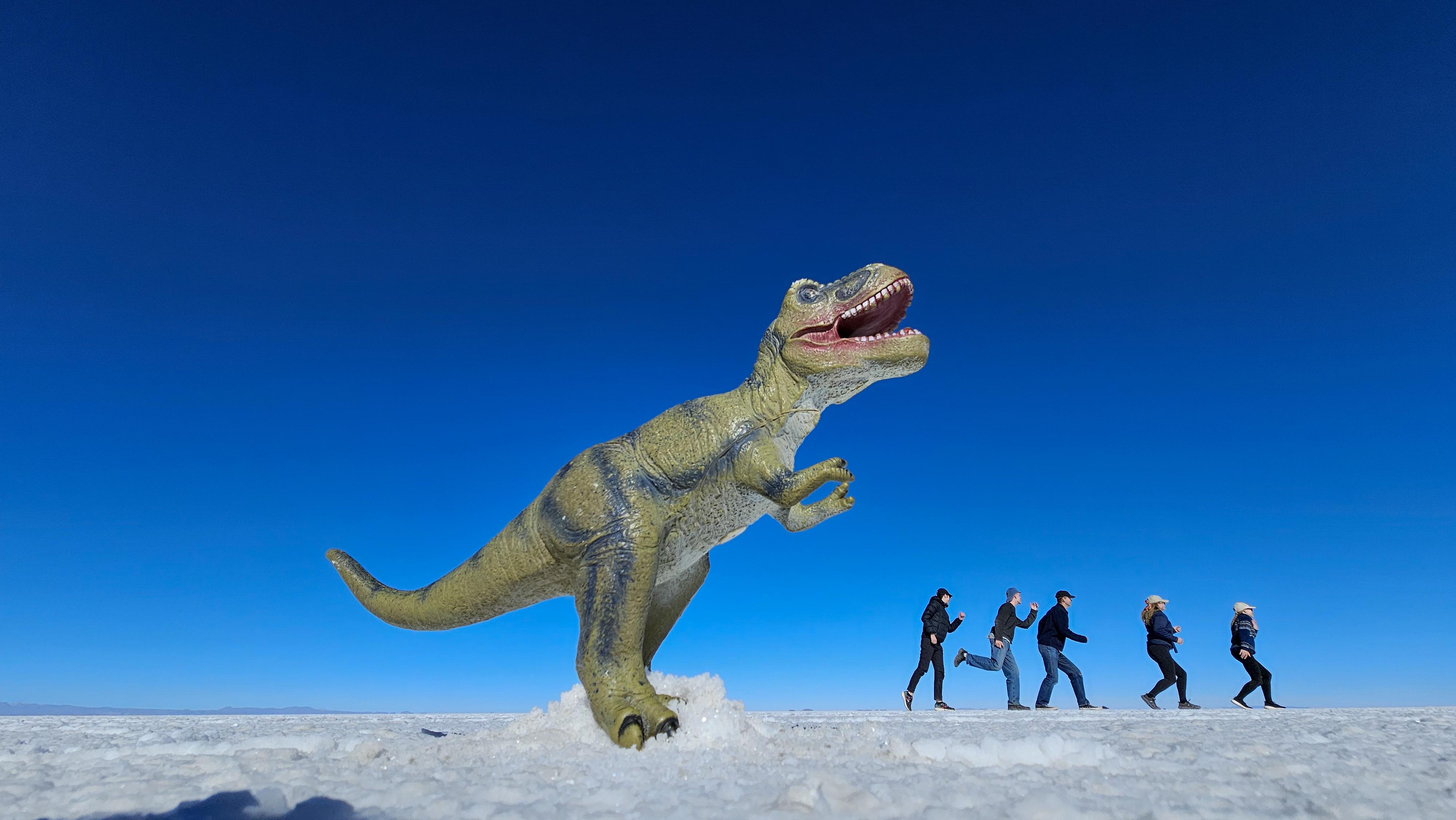Expédition de 3 jours : Salar de Uyuni et lagunes