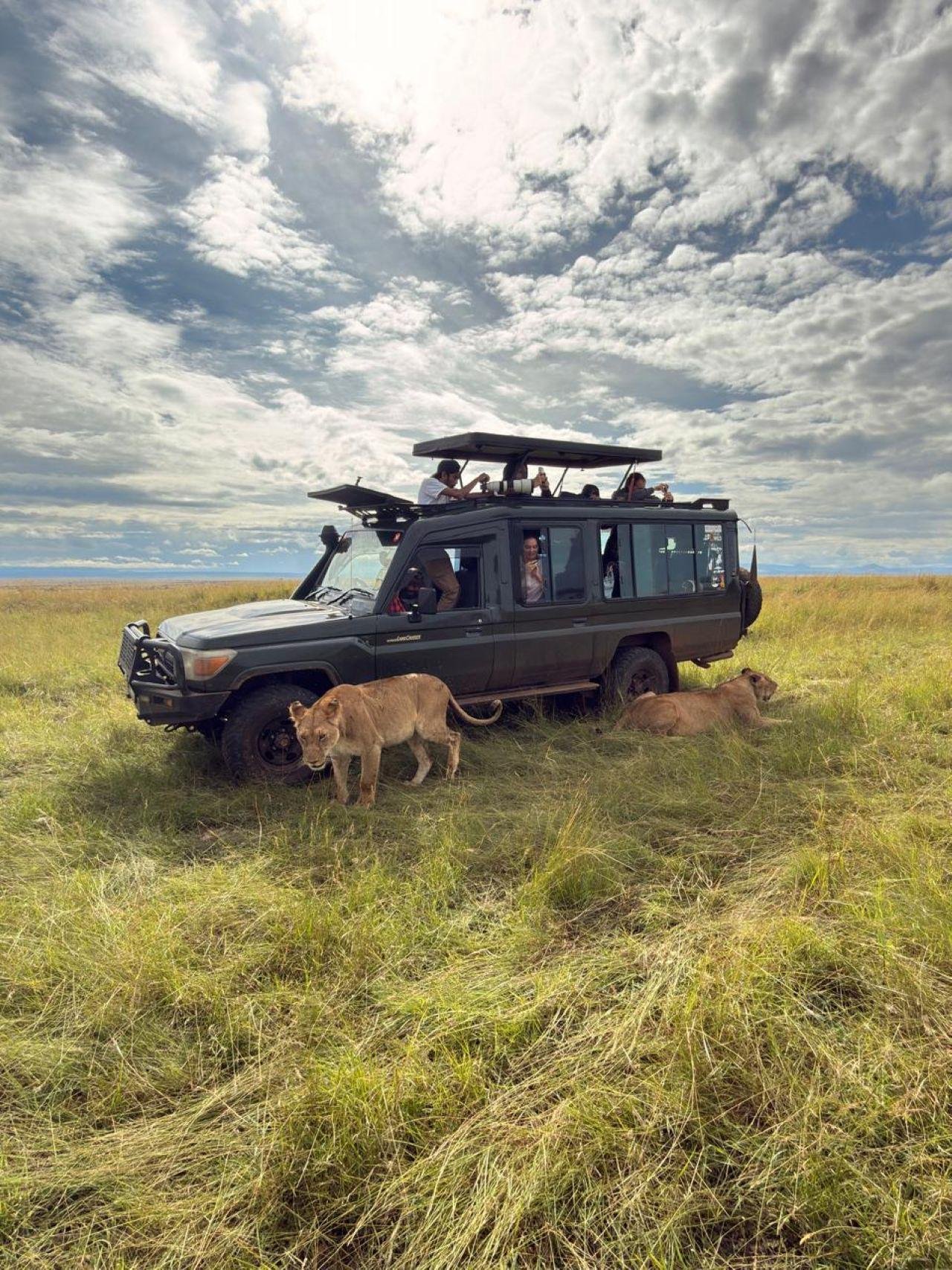 3-Day Maasai Mara Group Safari from Nairobi