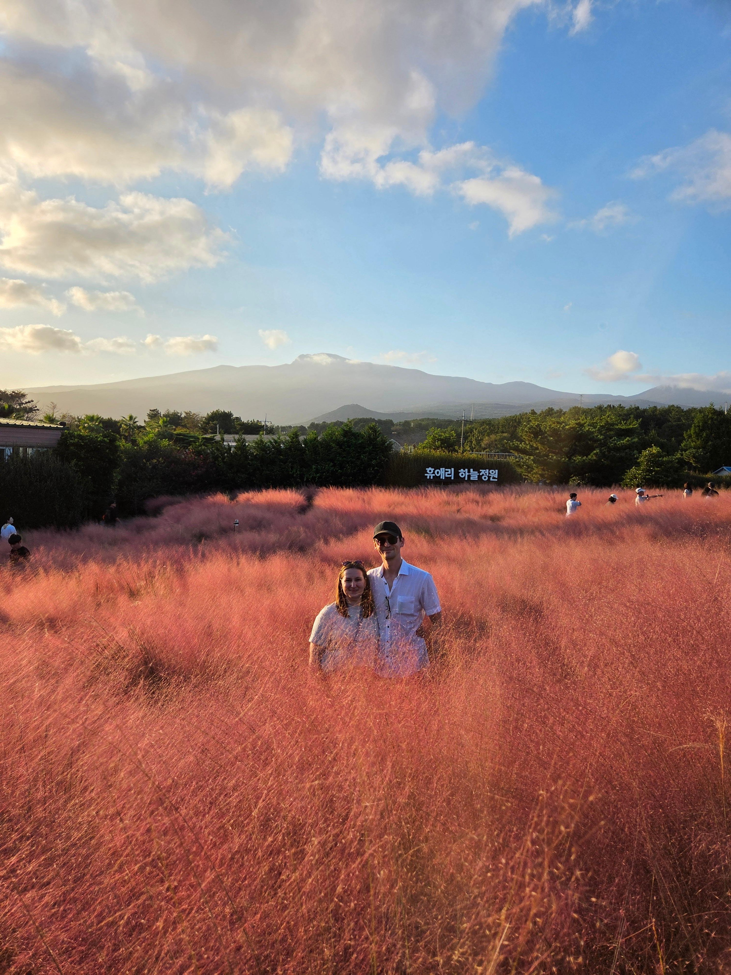 Jeju private taxi tour — image 14