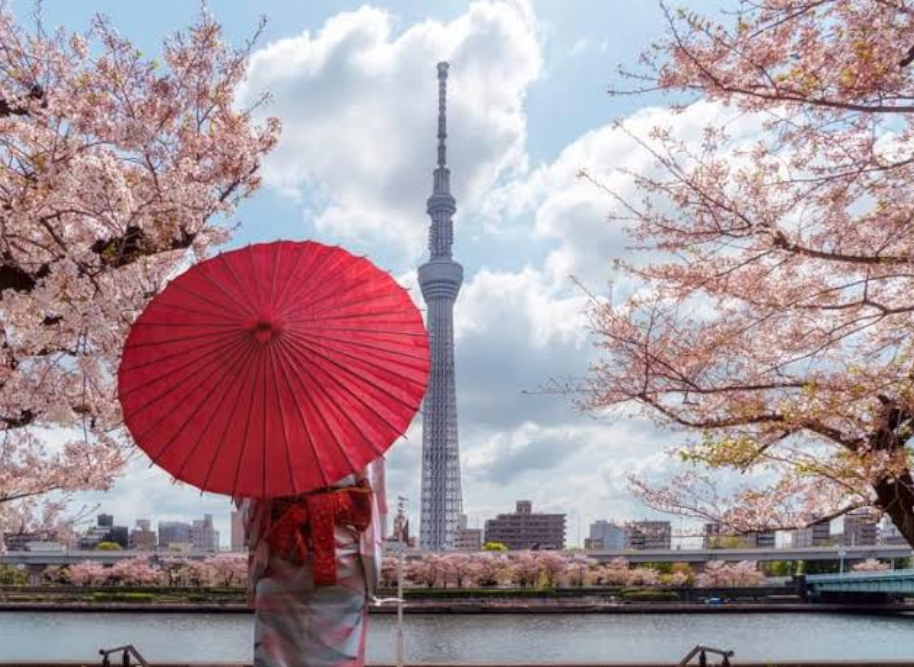 Tokyo Full-Day Private Guided Tour with Hotel Transfers