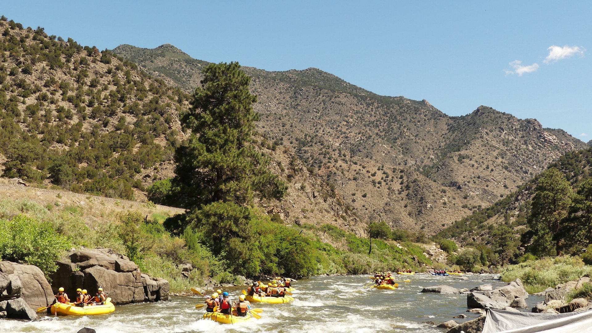 Bighorn Sheep Canyon Rafting Adventure