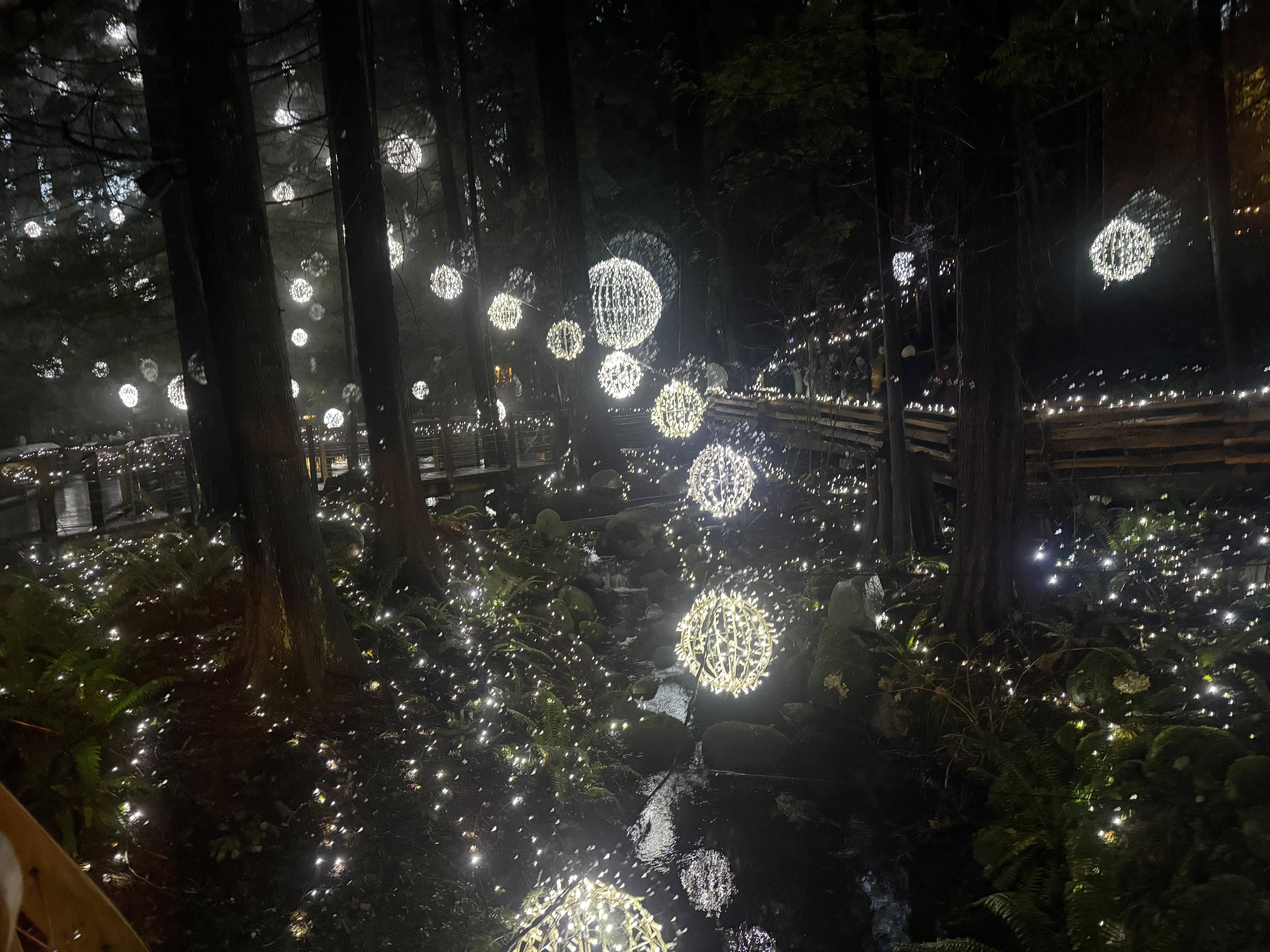 Capilano Suspension Bridge & Stanley Park Small Group Tour