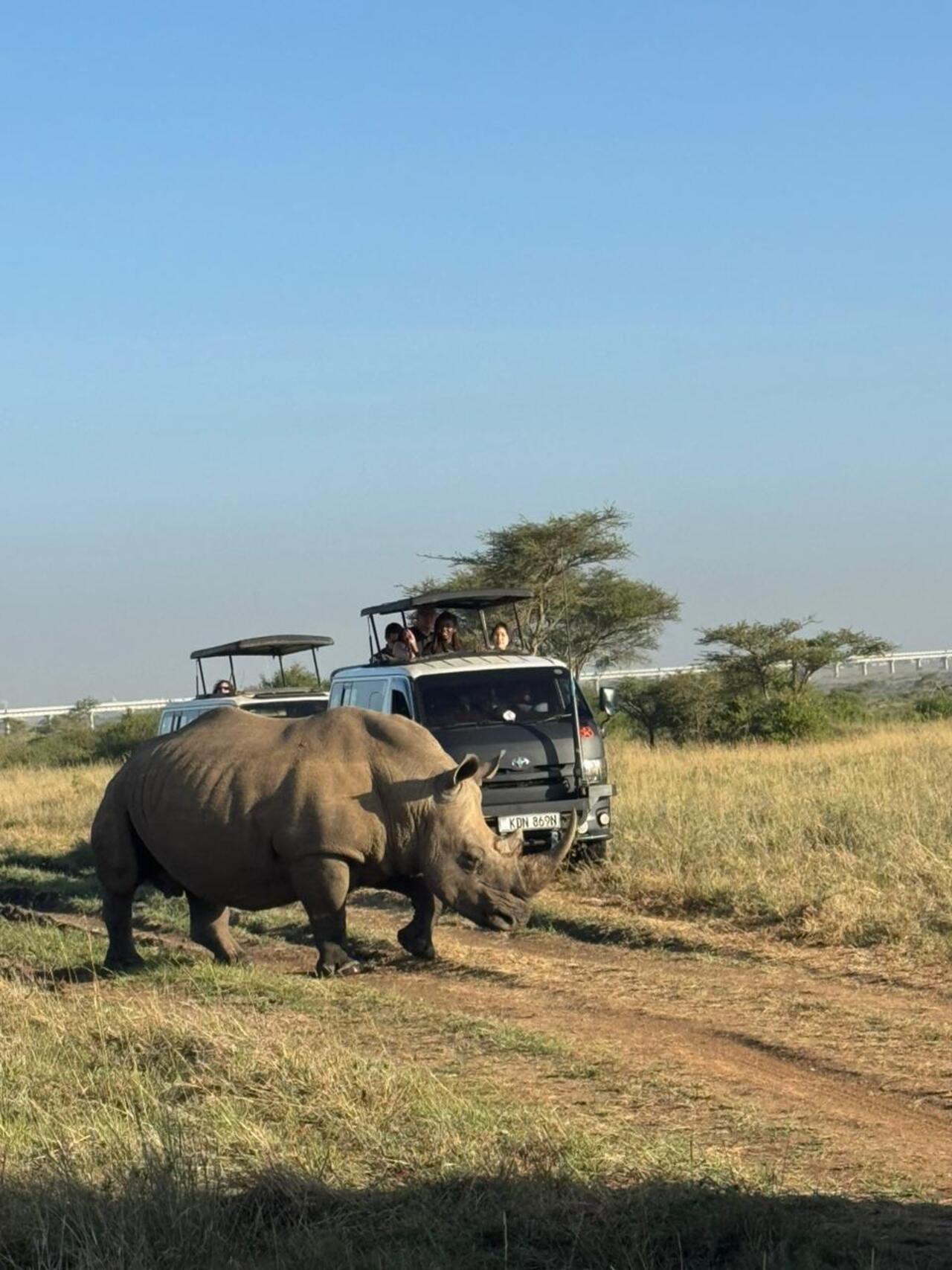 Nairobi National Park 5-Hour 4x4 Wildlife Safari