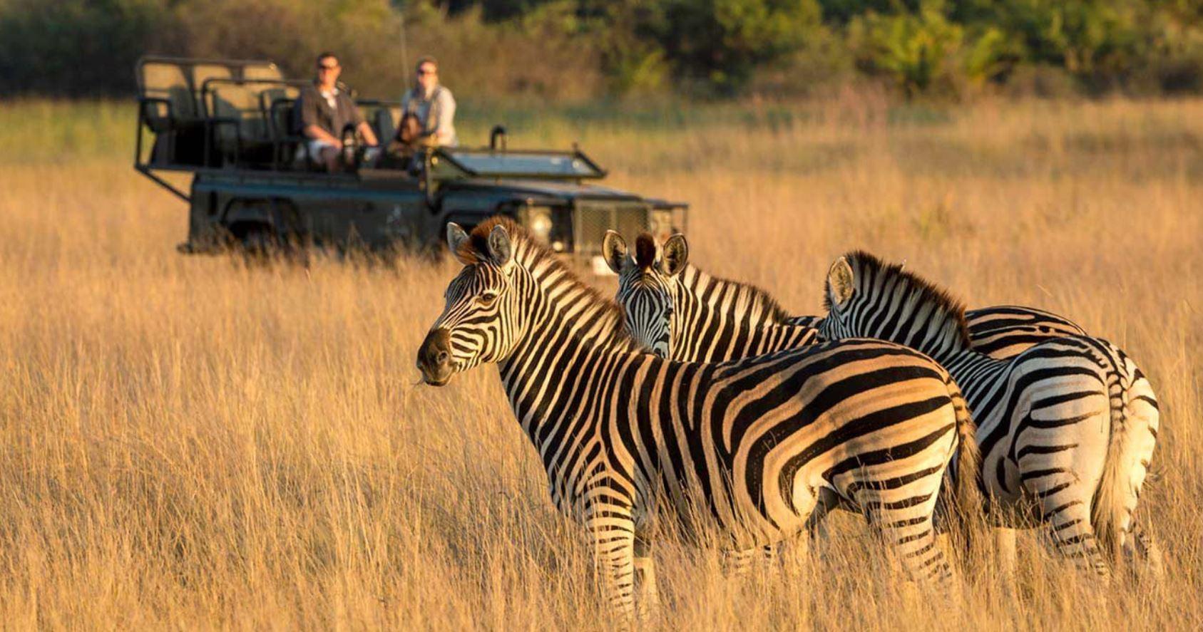 Durban City & Phezulu Safari Park Half-Day Adventure