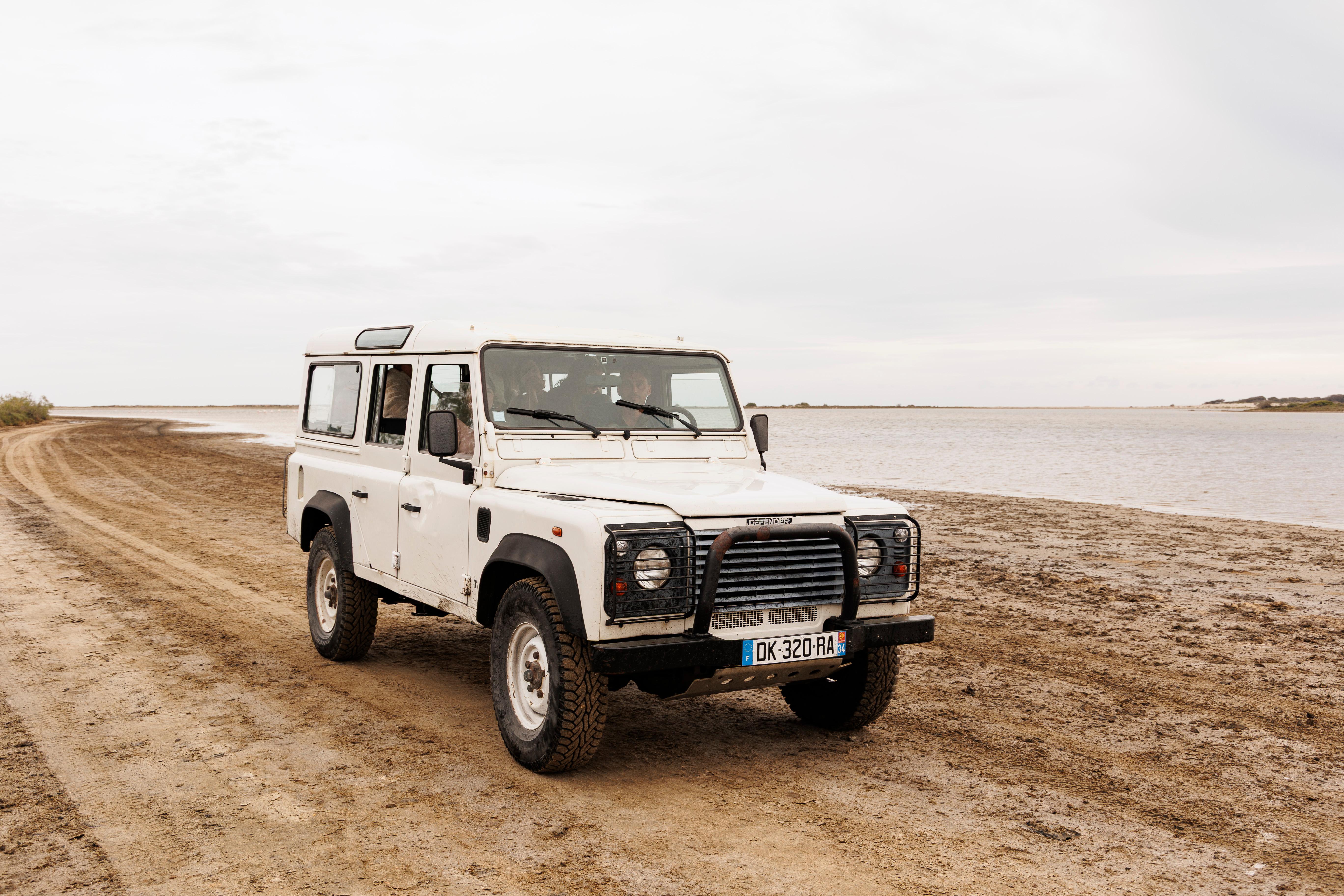 Wild Camargue 4x4 Safari from Aigues-Mortes