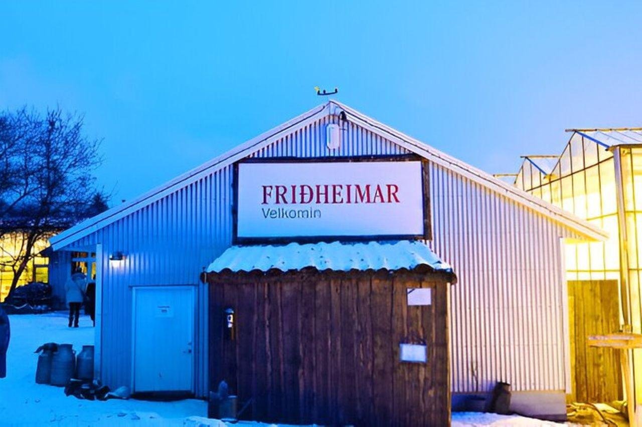 Private Golden Circle, Friðheimar & Blue Lagoon Tour