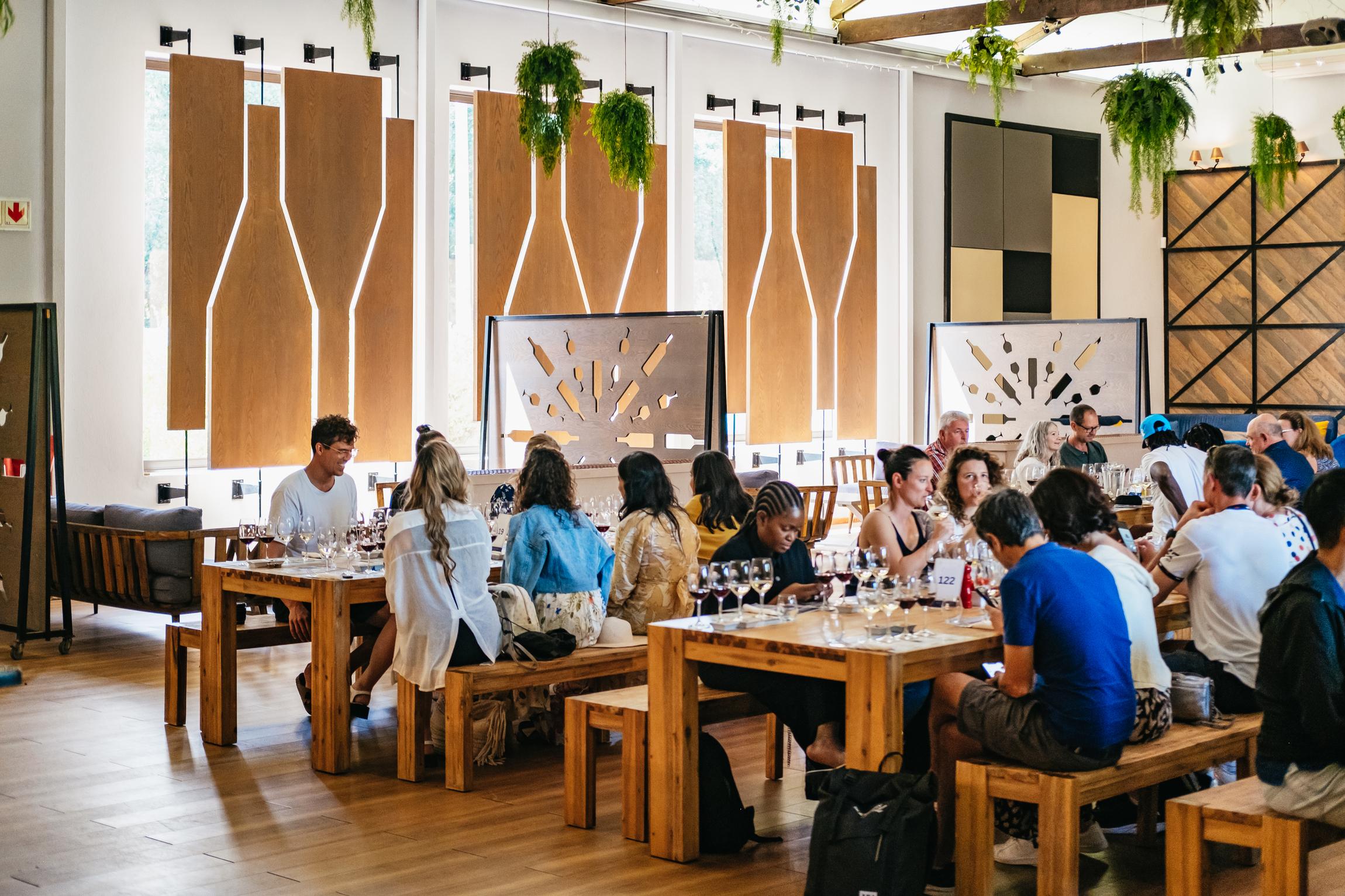 Cape Town: Three-Region Wine Tour – Stellenbosch, Franschhoek & Paarl