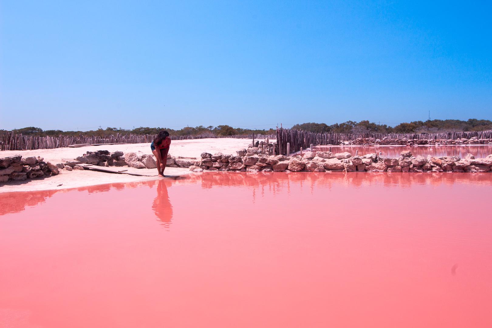Yucatán Highlights: Pink Salt Flats, Cenote & Coast