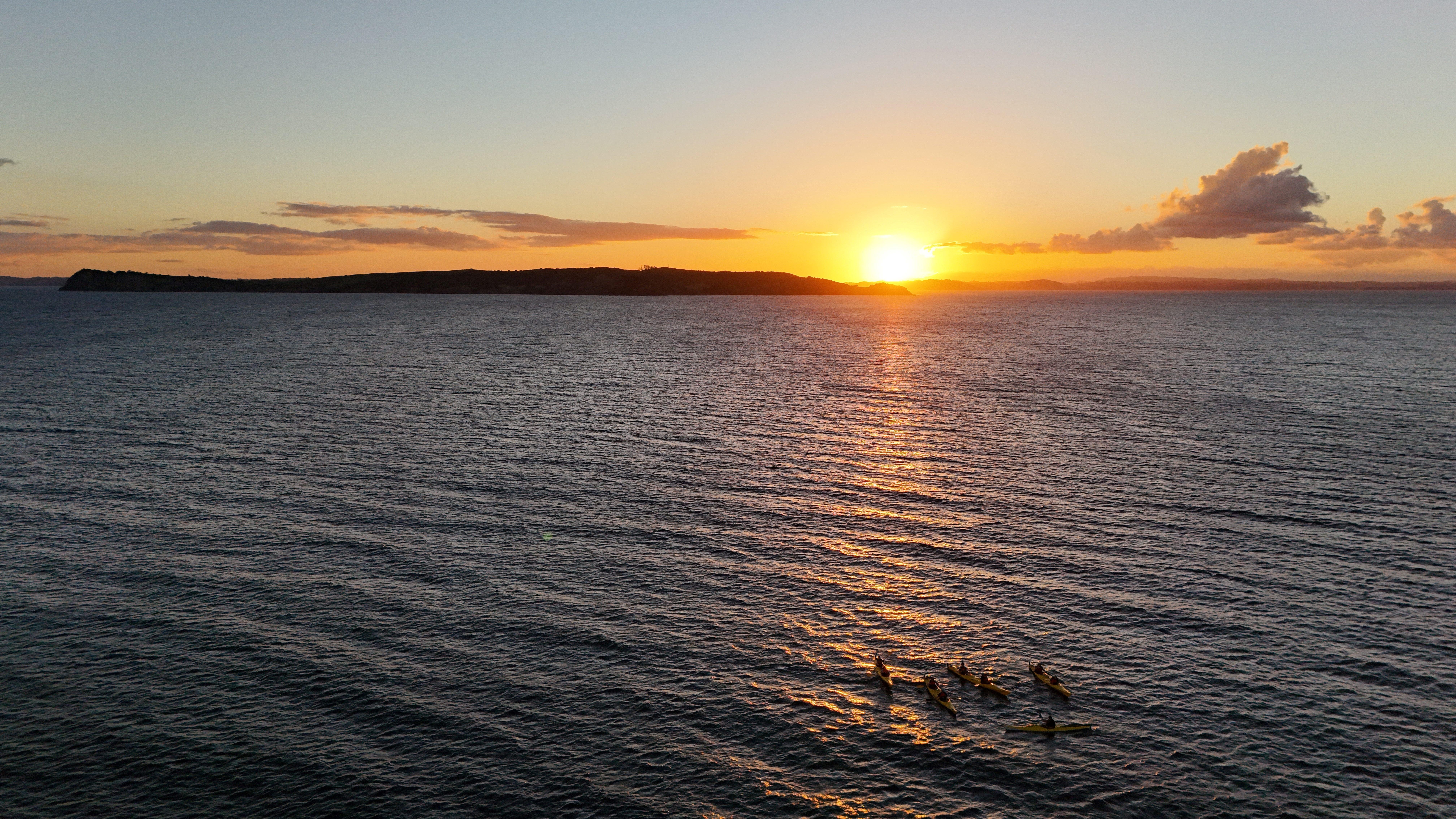 Sunset Kayak & Penguin Night Paddle with Dinner