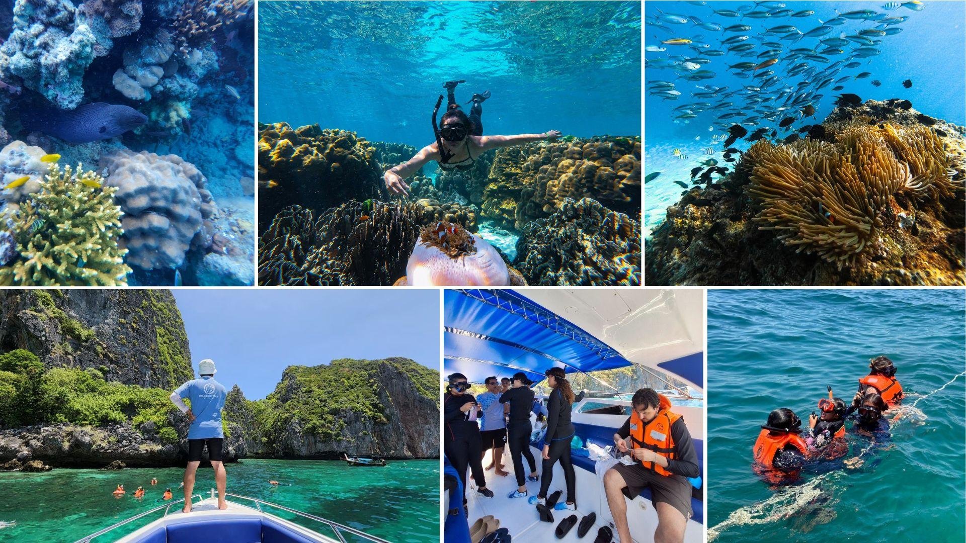 Phi Phi Islands Private Speedboat Charter from Krabi