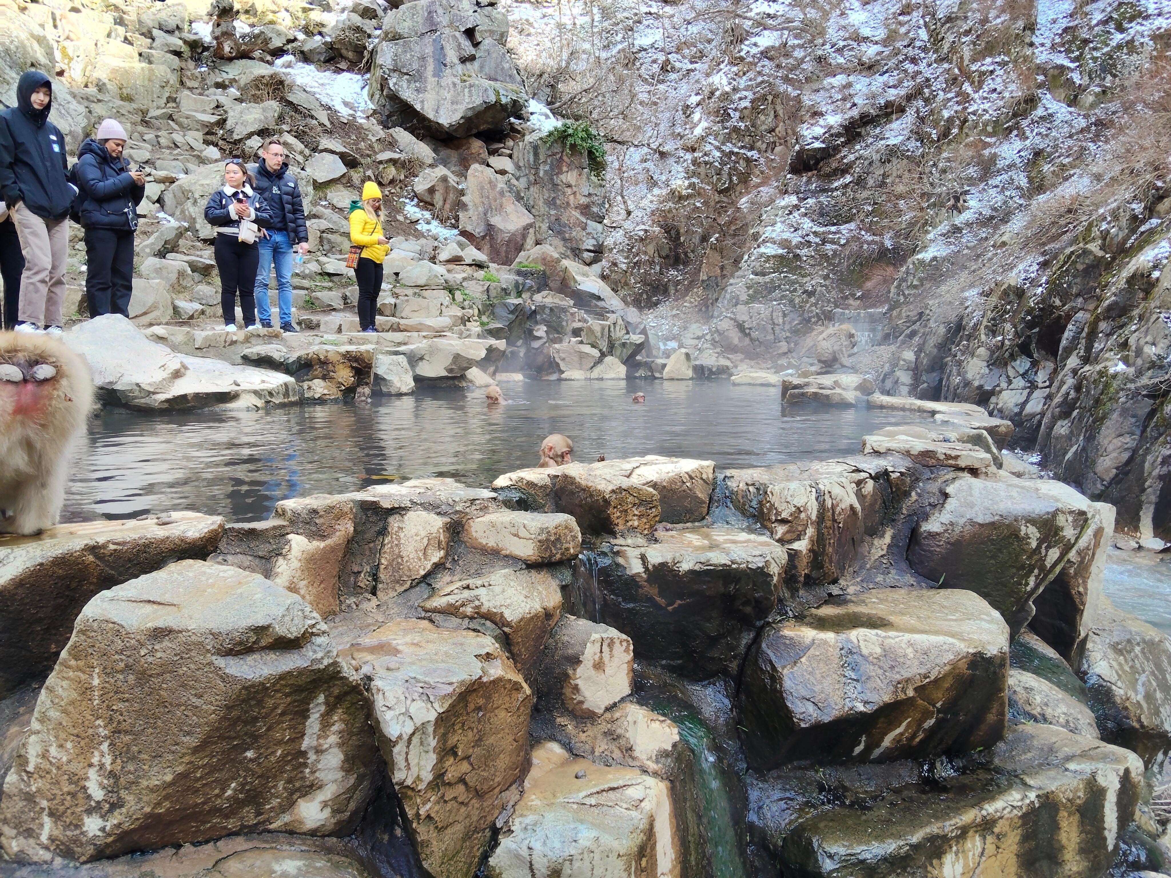 Nagano Snow Monkey & Obuse Cultural Day Tour