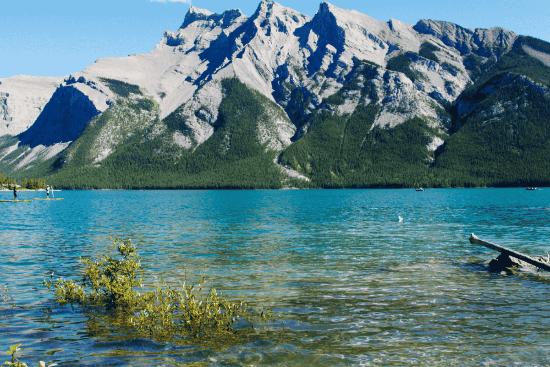 Banff Sunset Walk: Lake Minnewanka & Vermilion Lakes Evening Tour