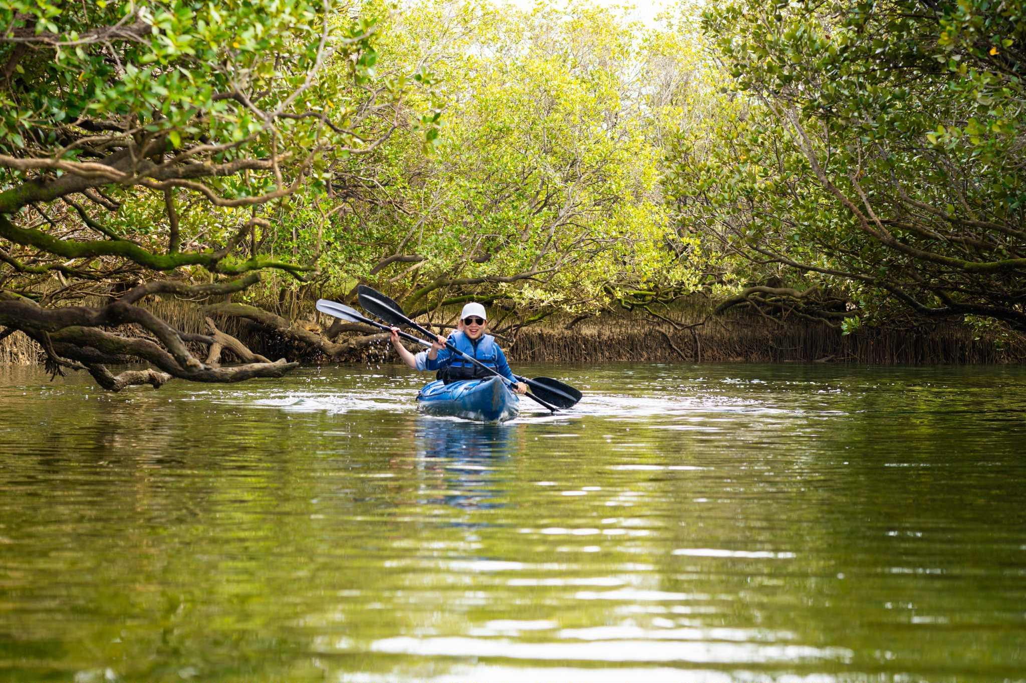 Dolphin Sanctuary Eco Kayaking Adventure