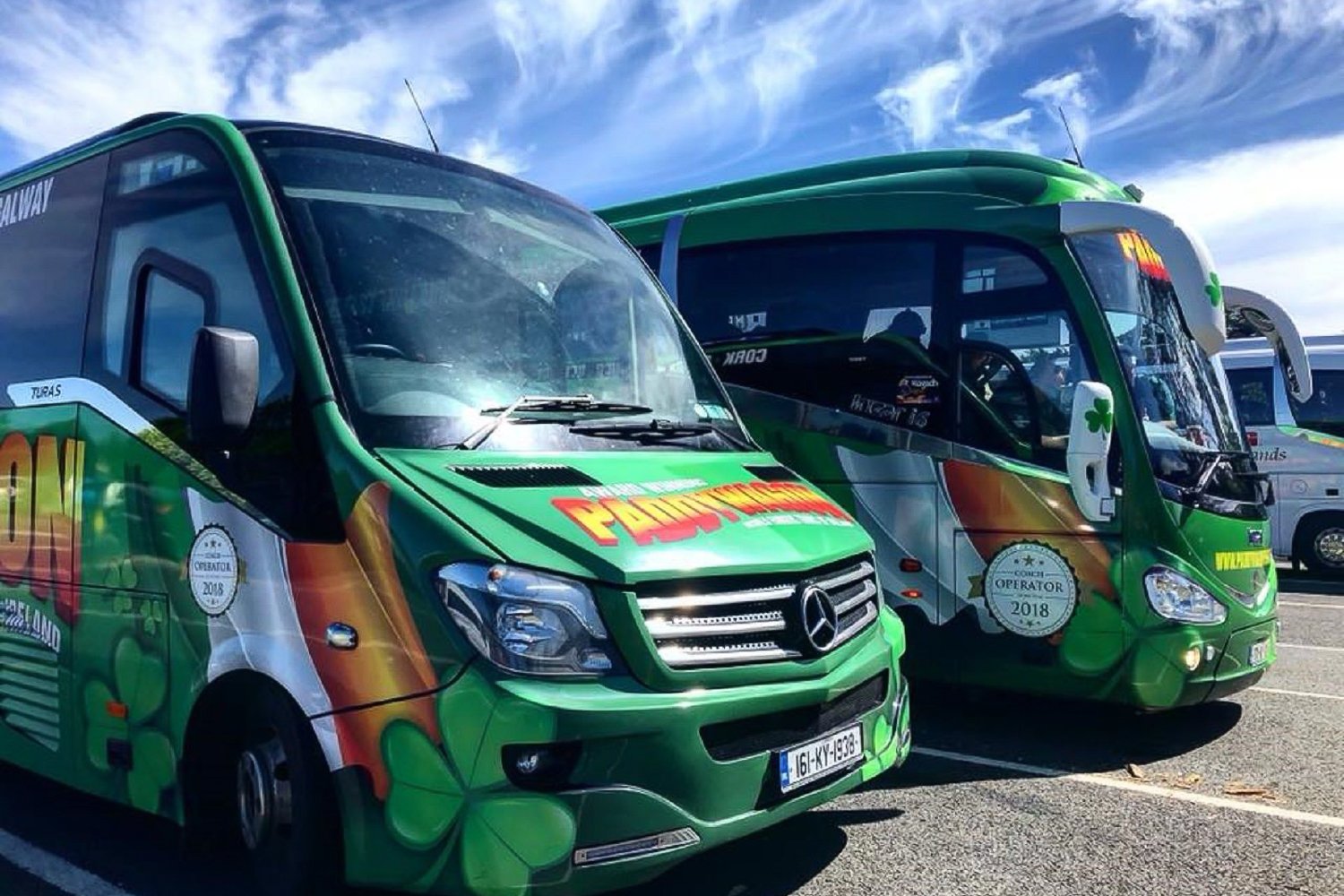 From Killarney: Ring of Kerry Full-Day Tour - 2026 (Verified Reviews)