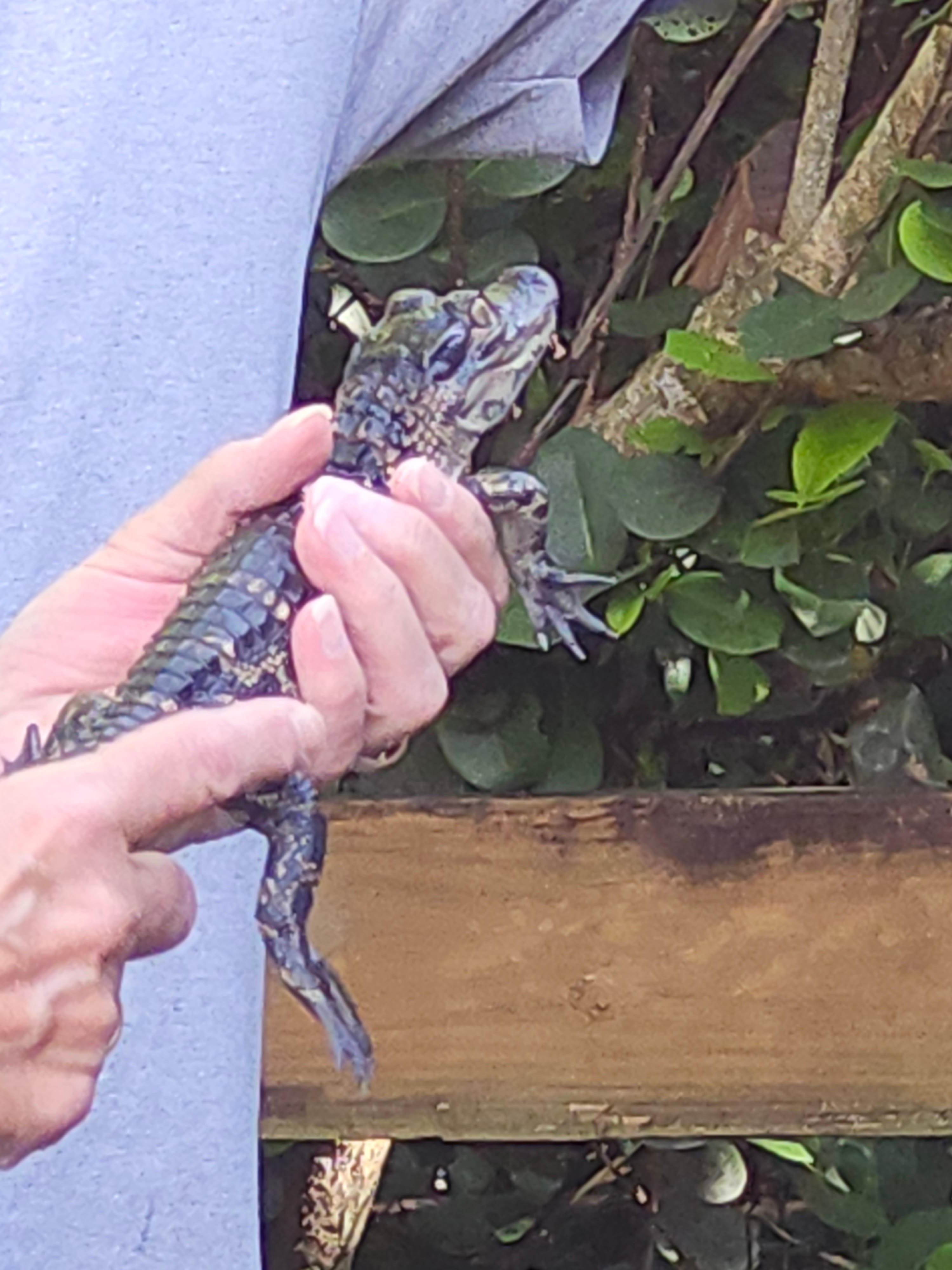 Everglades Airboat Eco Tour: Small group & 2 Private Islands