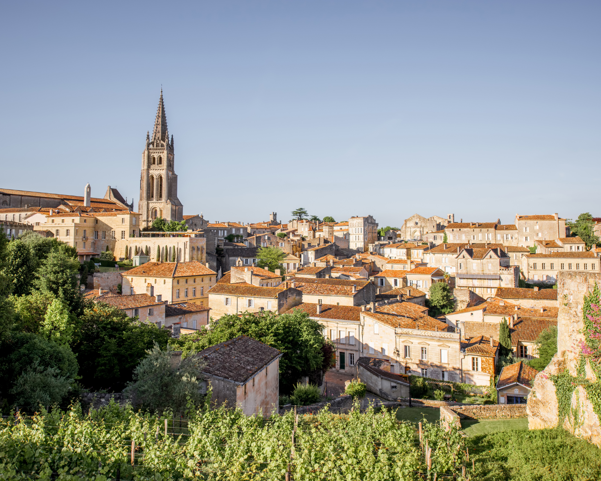 Saint-Émilion Wine & Village Tour from Bordeaux