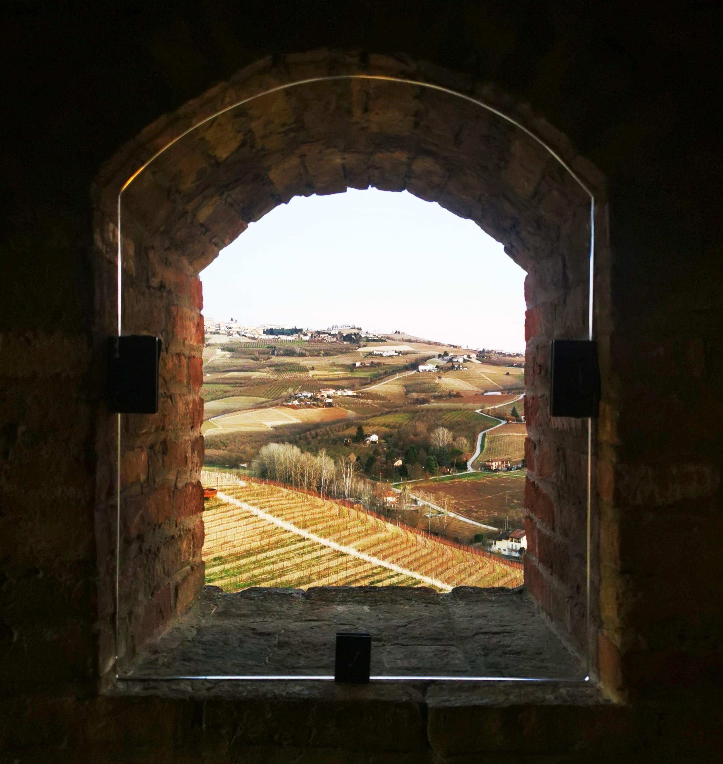 wine tour in Barolo — photo 12