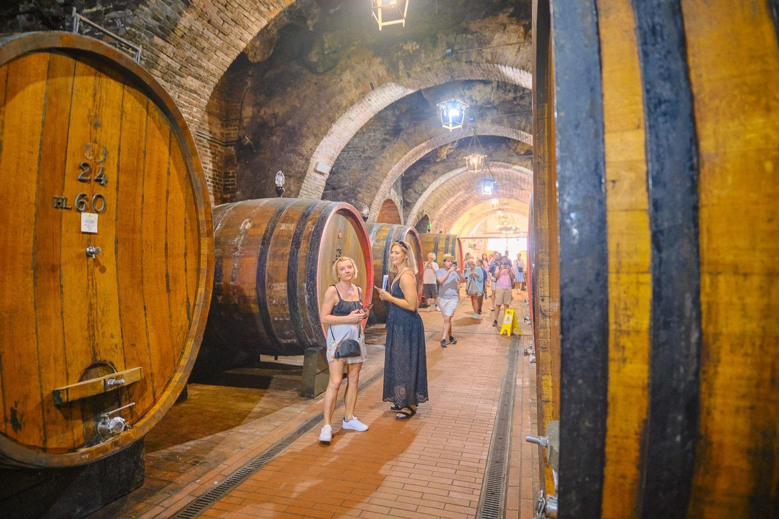 wine tour in Montalcino — photo 11