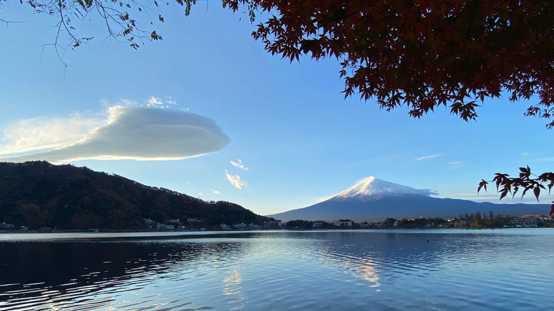 Mt. Fuji Iconic Views & Photography Day Trip from Tokyo
