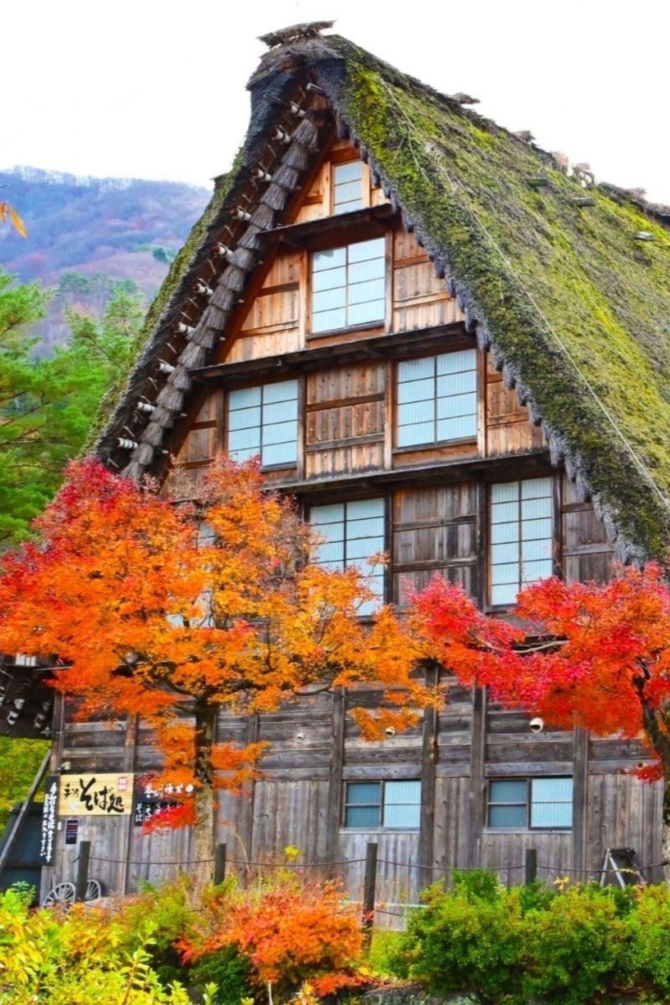 Kanazawa: Private Shirakawa-go & Takayama Customizable Day Trip