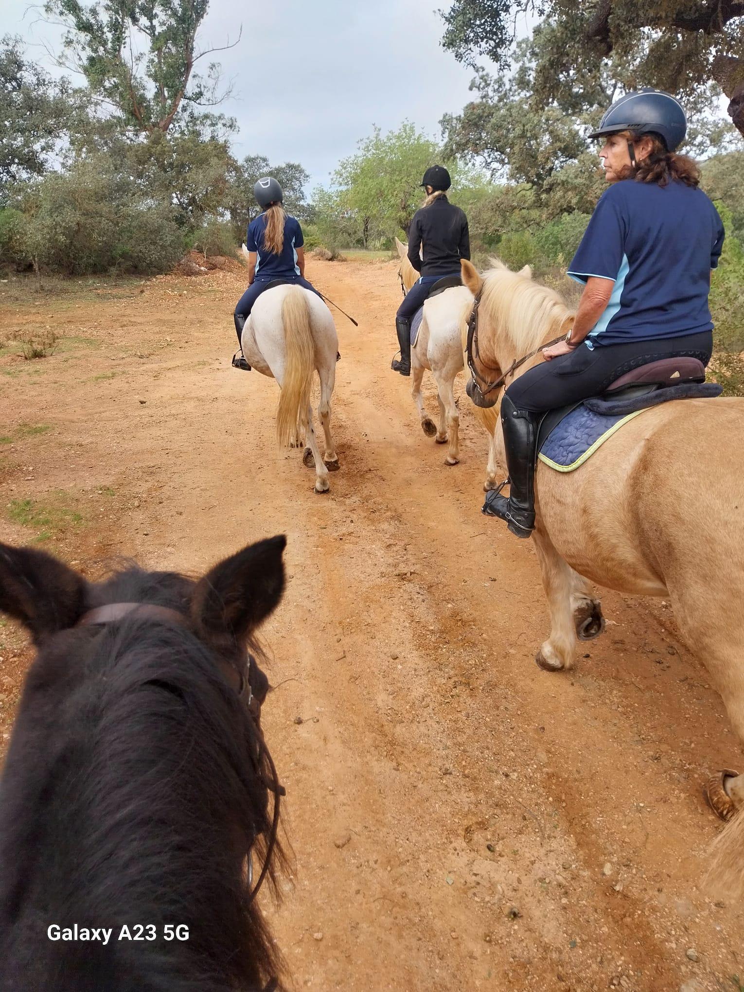 Guided Horse Ride Through Salir Hills