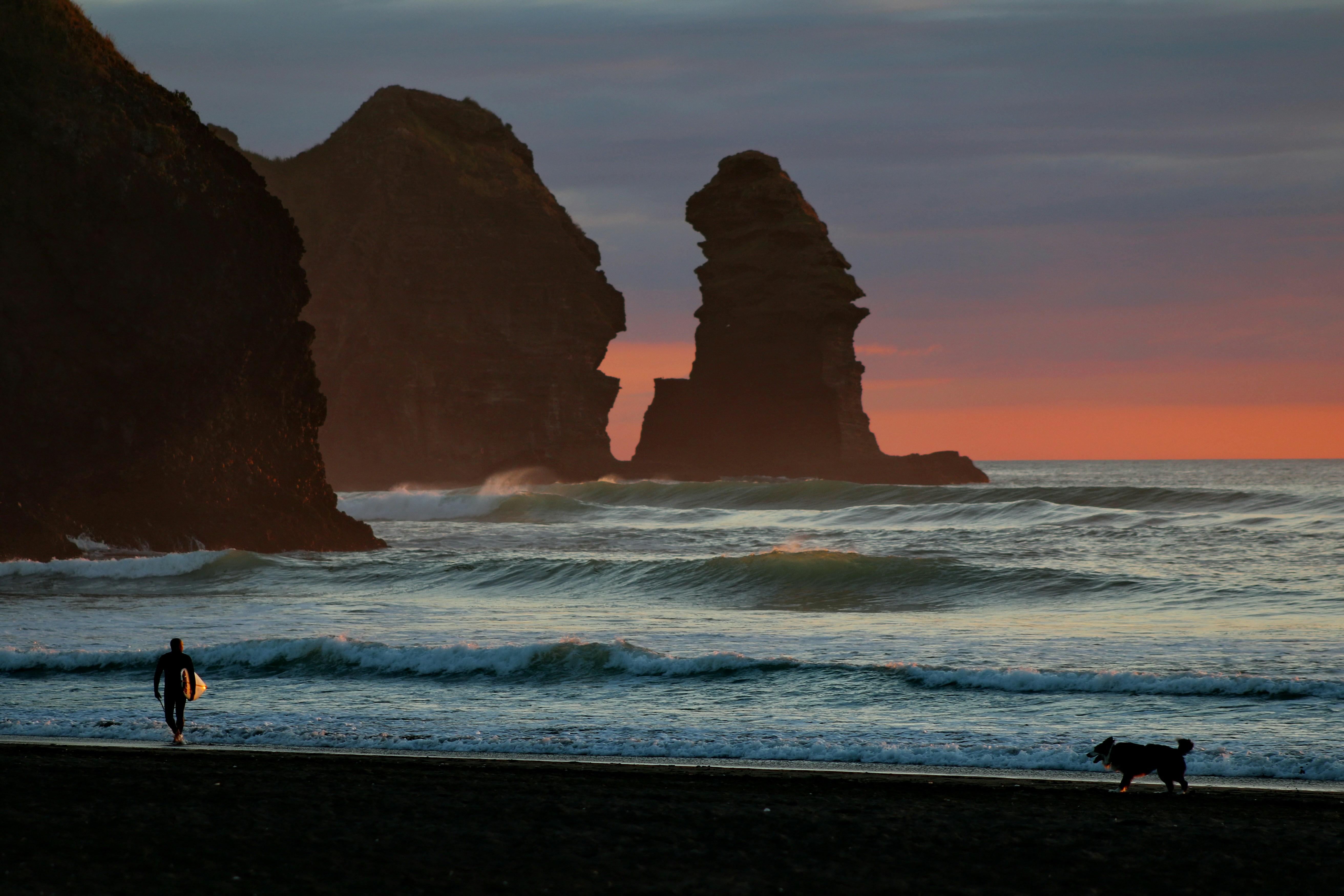 Private West Coast & Piha Beach Wilderness Tour