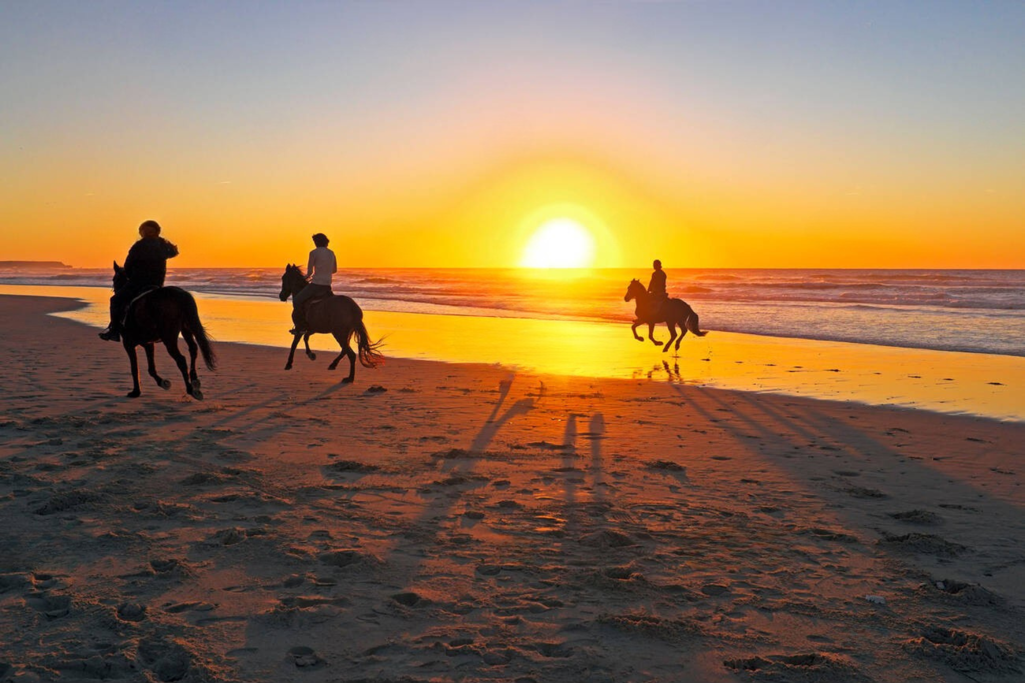 Casablanca Horseback Riding Adventure by the Sea
